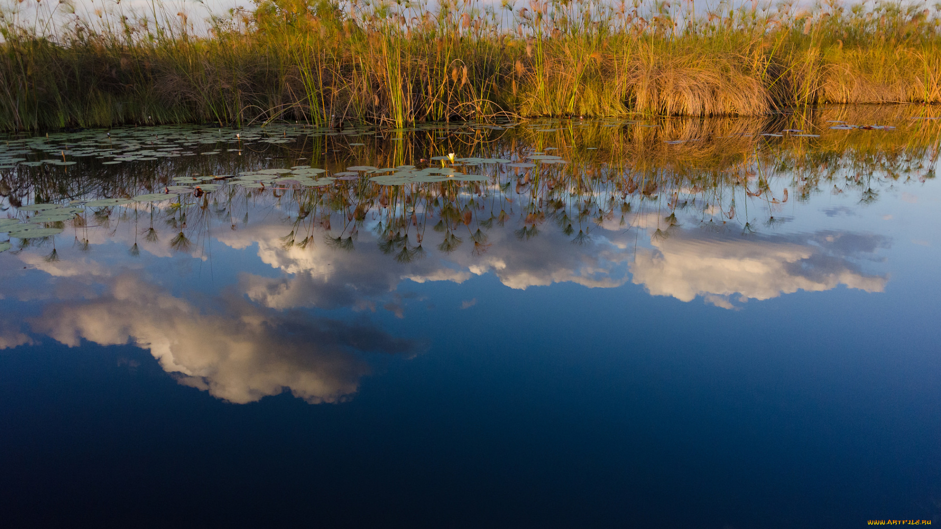 природа, реки, озера, отражение, облака, озеро