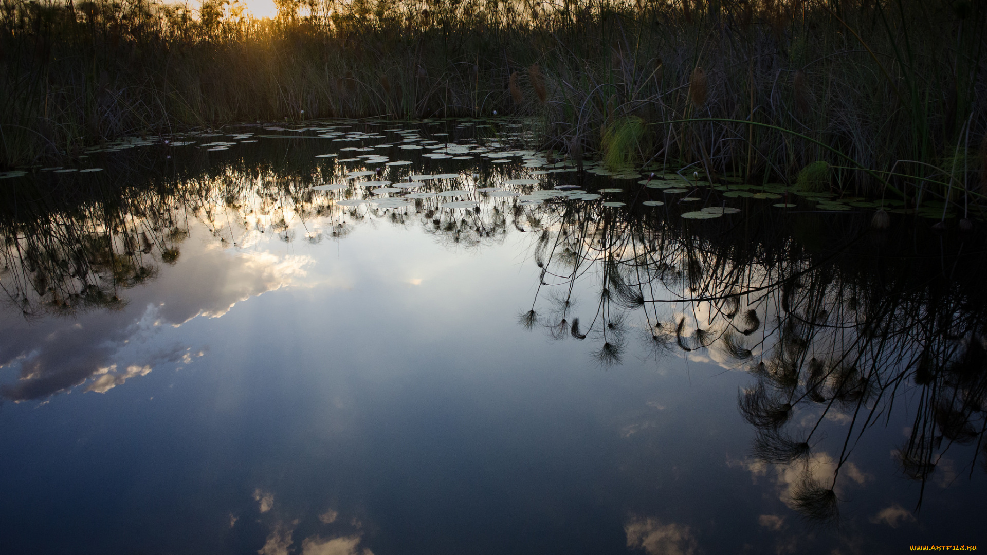 природа, реки, озера, озеро, растения, отражение, облака, небо