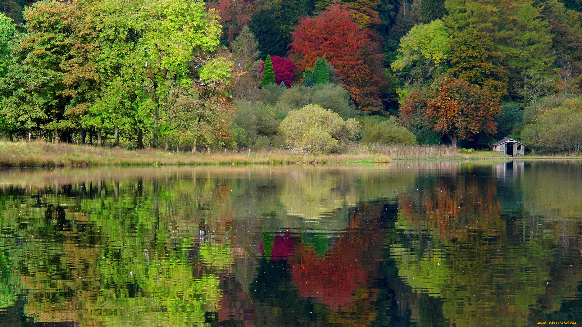 природа, реки, озера, united, kingdom, англия, великобритания, caeciliametella, photography, озеро, осень, лес, деревья, grasmere, england