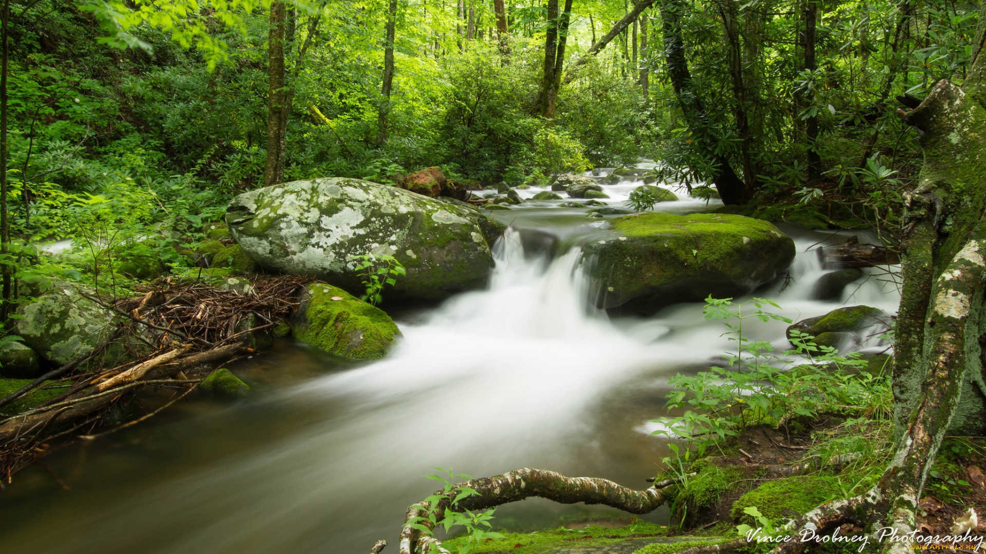 природа, водопады, потоки, лес, водопад, камни