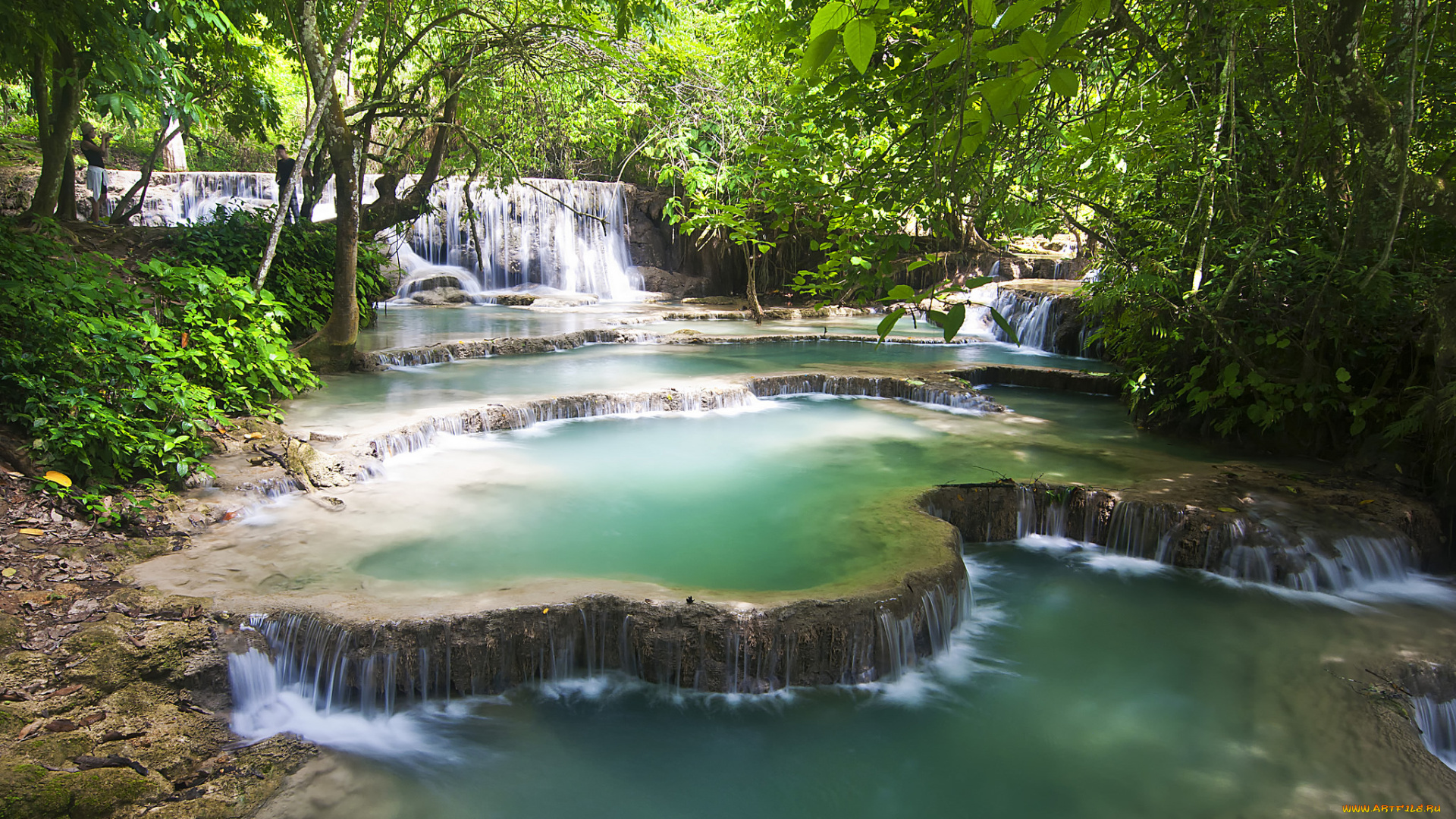 природа, водопады, водопад, река, лес