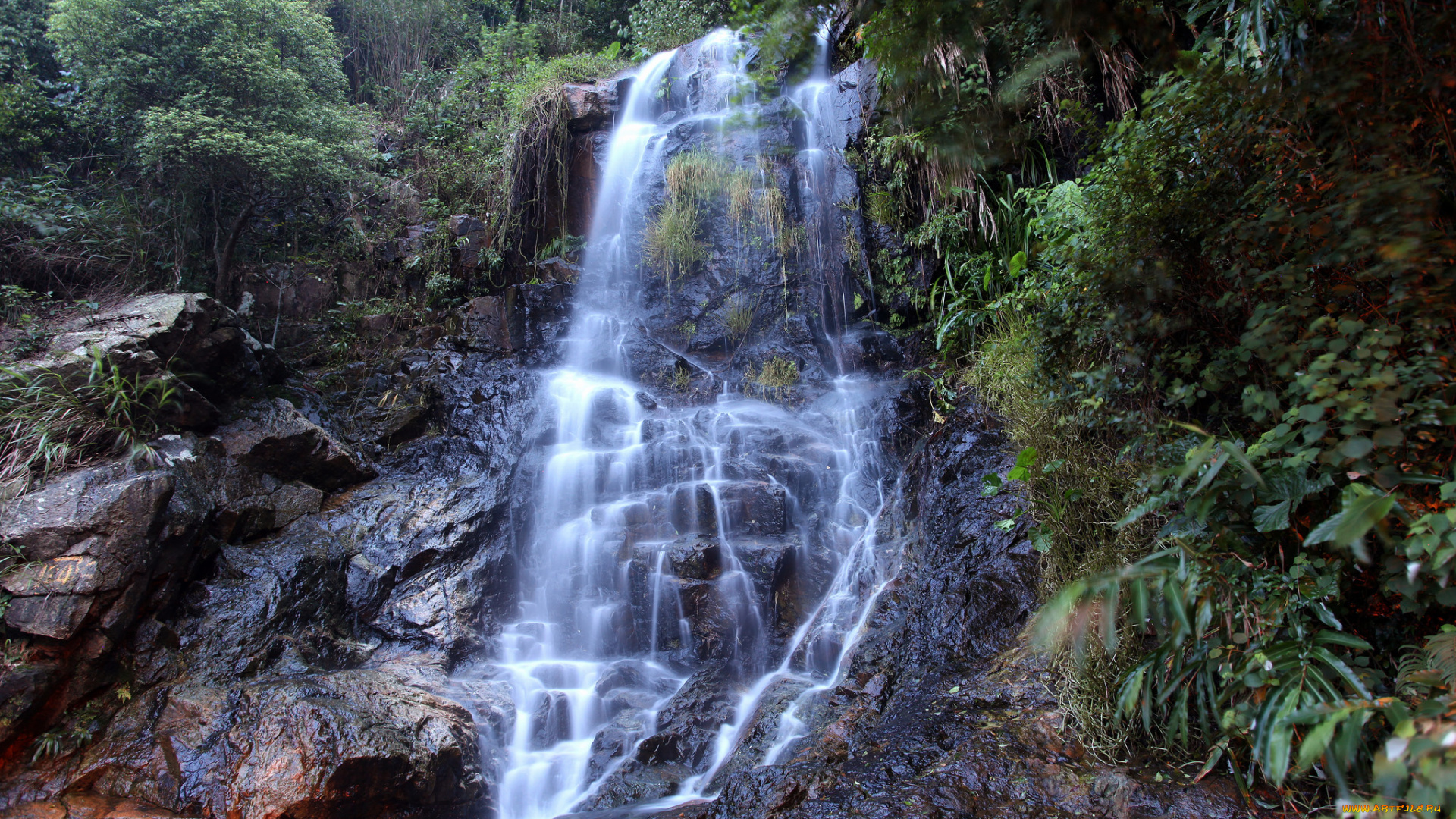 природа, водопады, водопад, река, лес