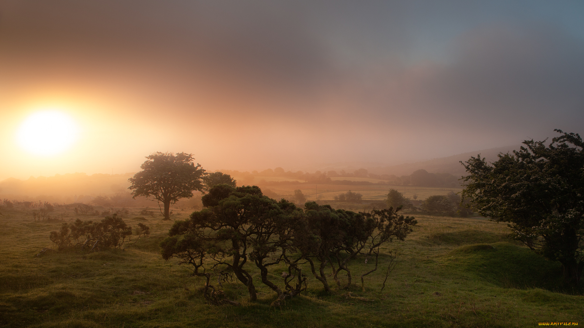 природа, восходы, закаты, англия, корнуолл, восход, туман