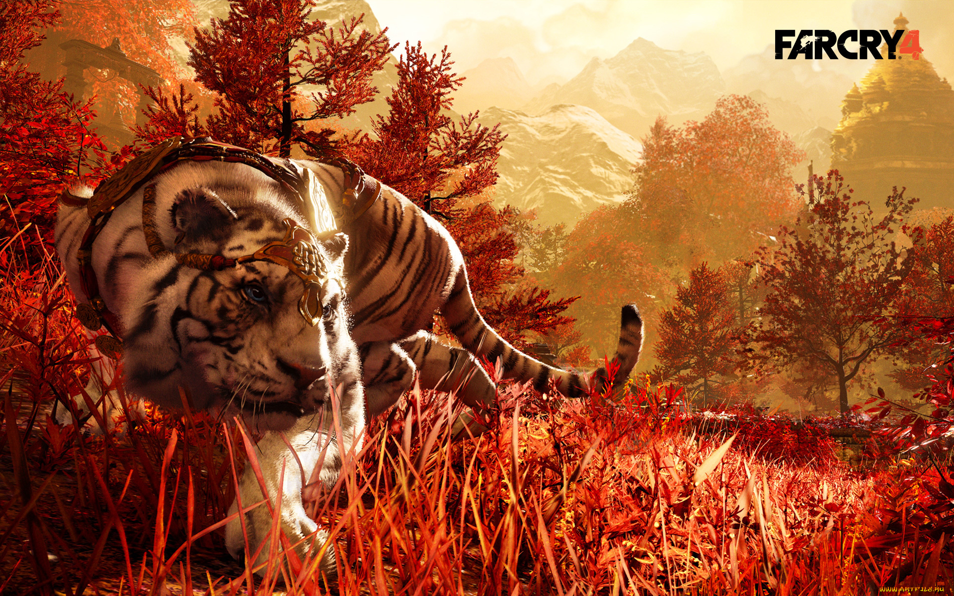 видео, игры, far, cry, 4, 4, cry, far, кооператив, онлайн, шутер, экшен