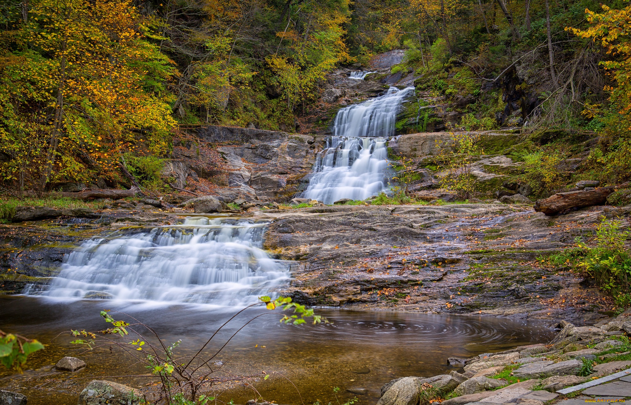 природа, водопады, река, водопад, лес