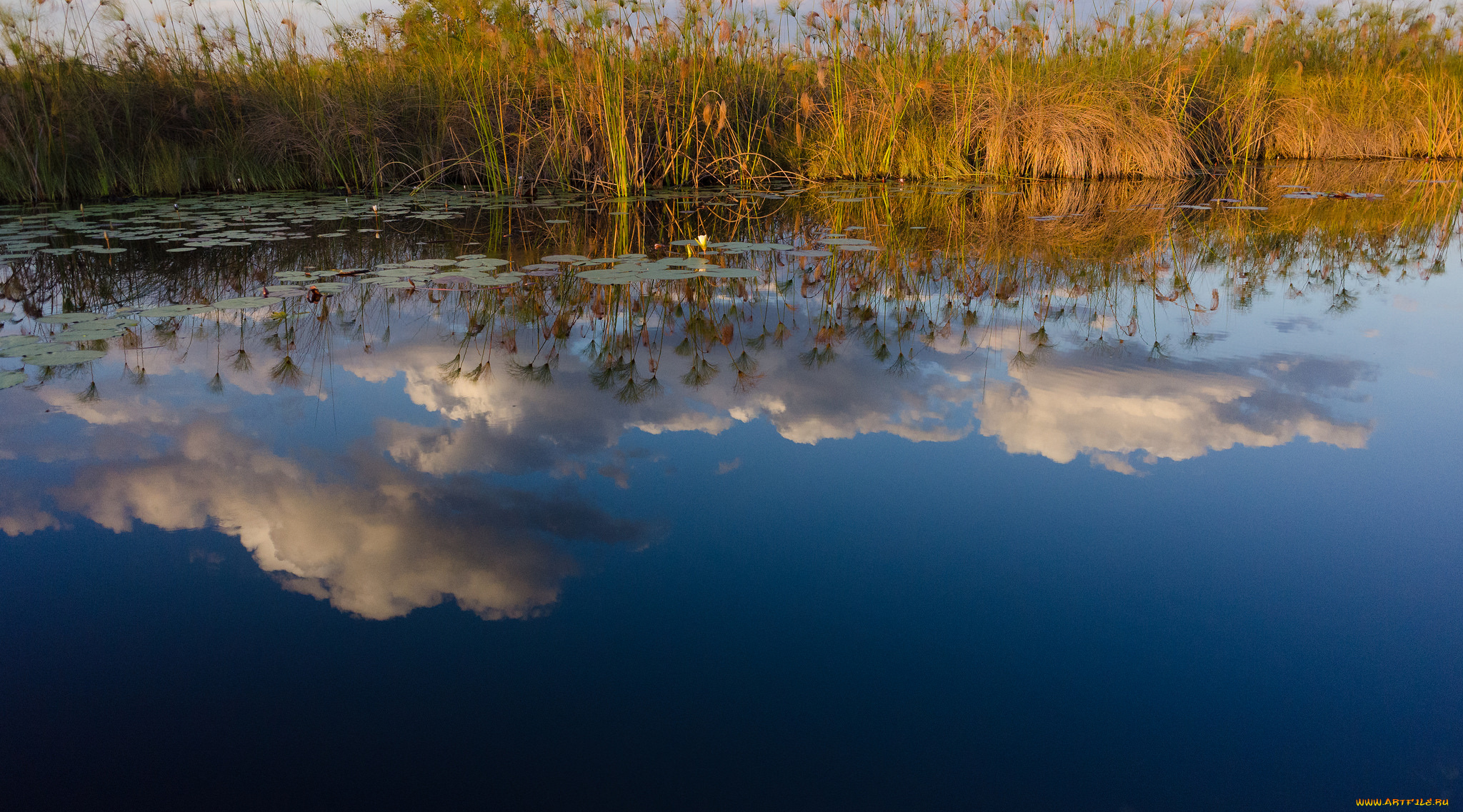 природа, реки, озера, отражение, облака, озеро