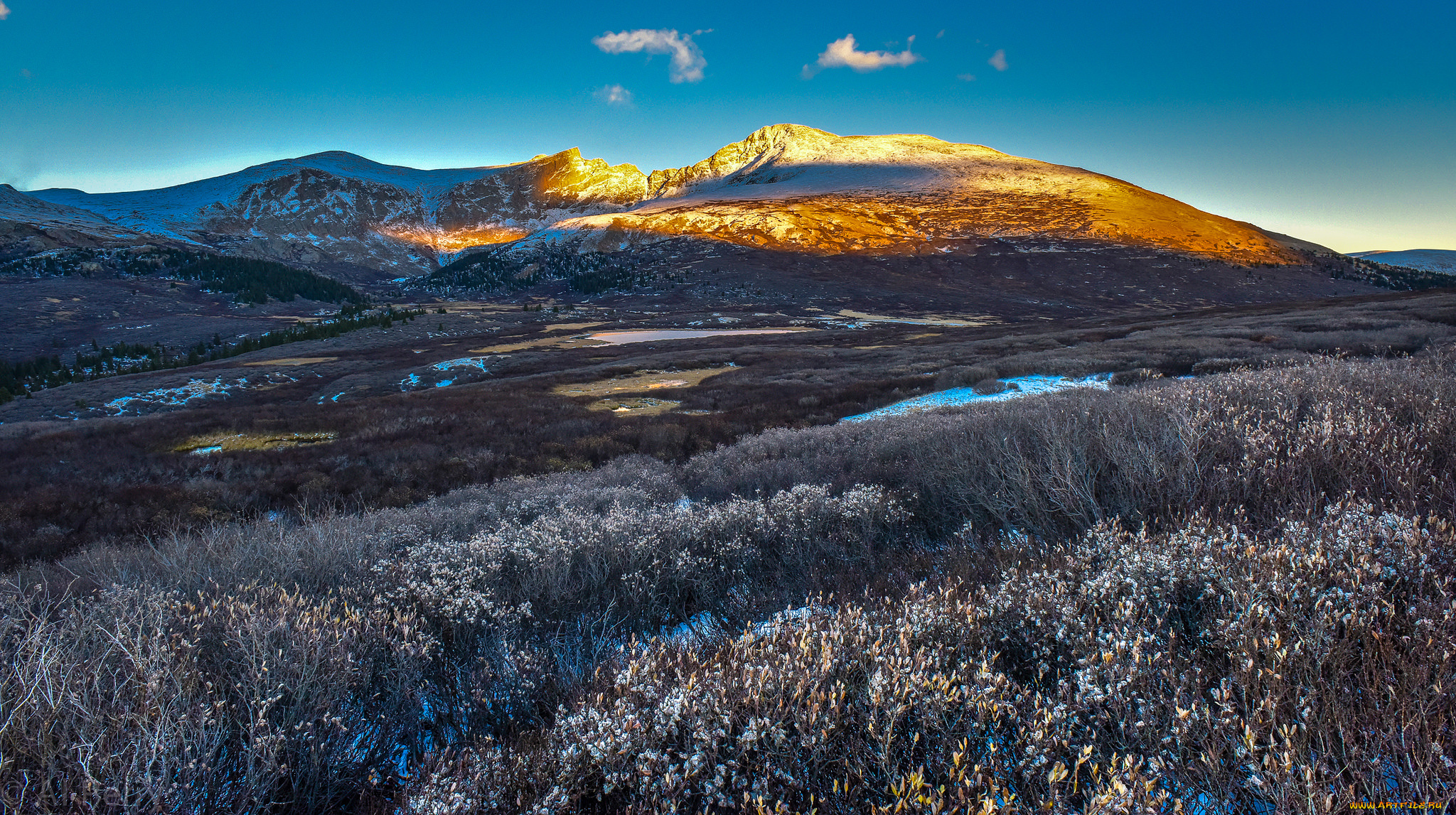 природа, горы, кусты, растения, небо