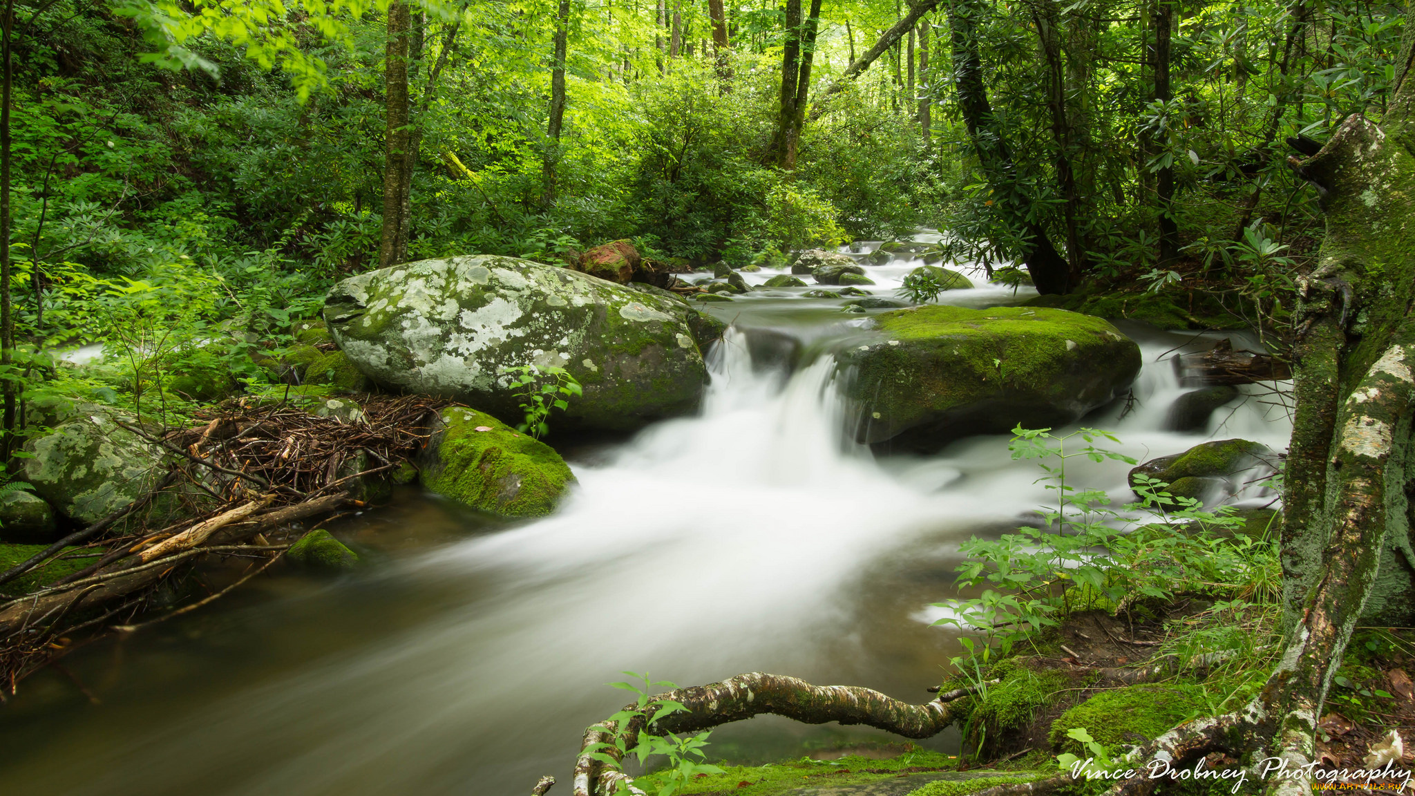 природа, водопады, потоки, лес, водопад, камни