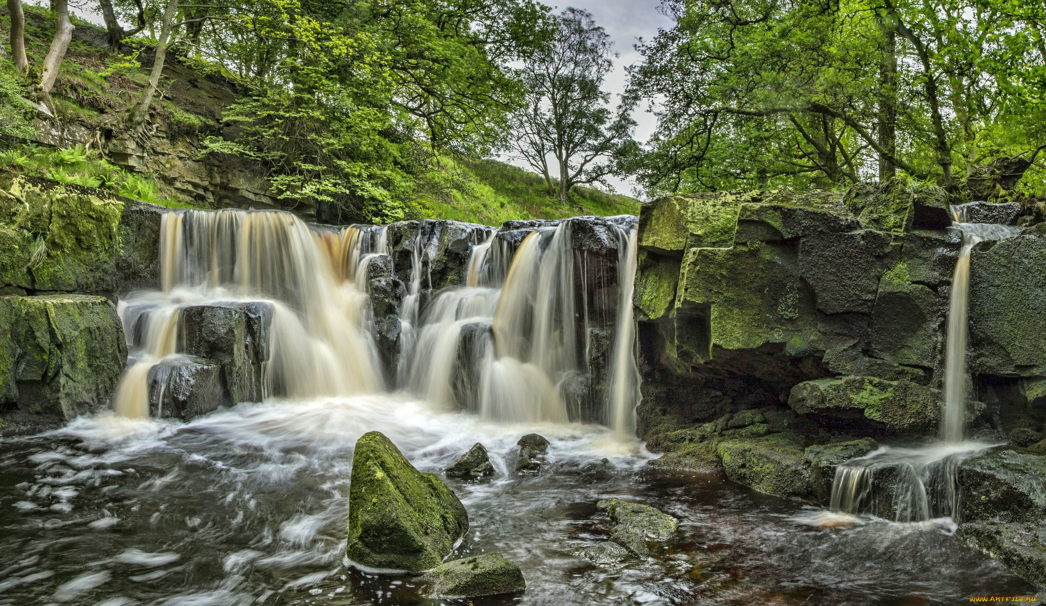 природа, водопады, водопад, река, лес