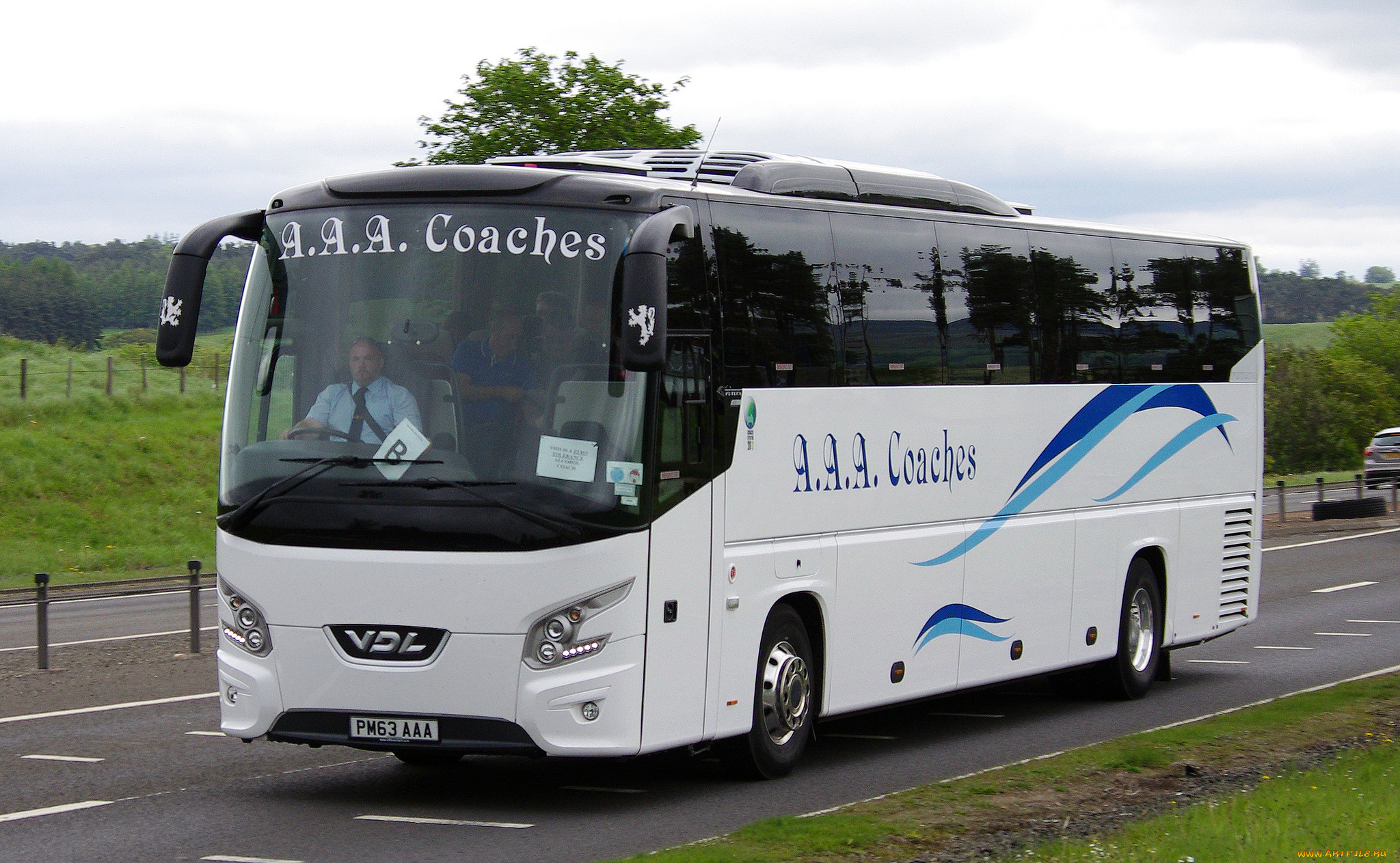 автомобили, автобусы, автобус, туристический