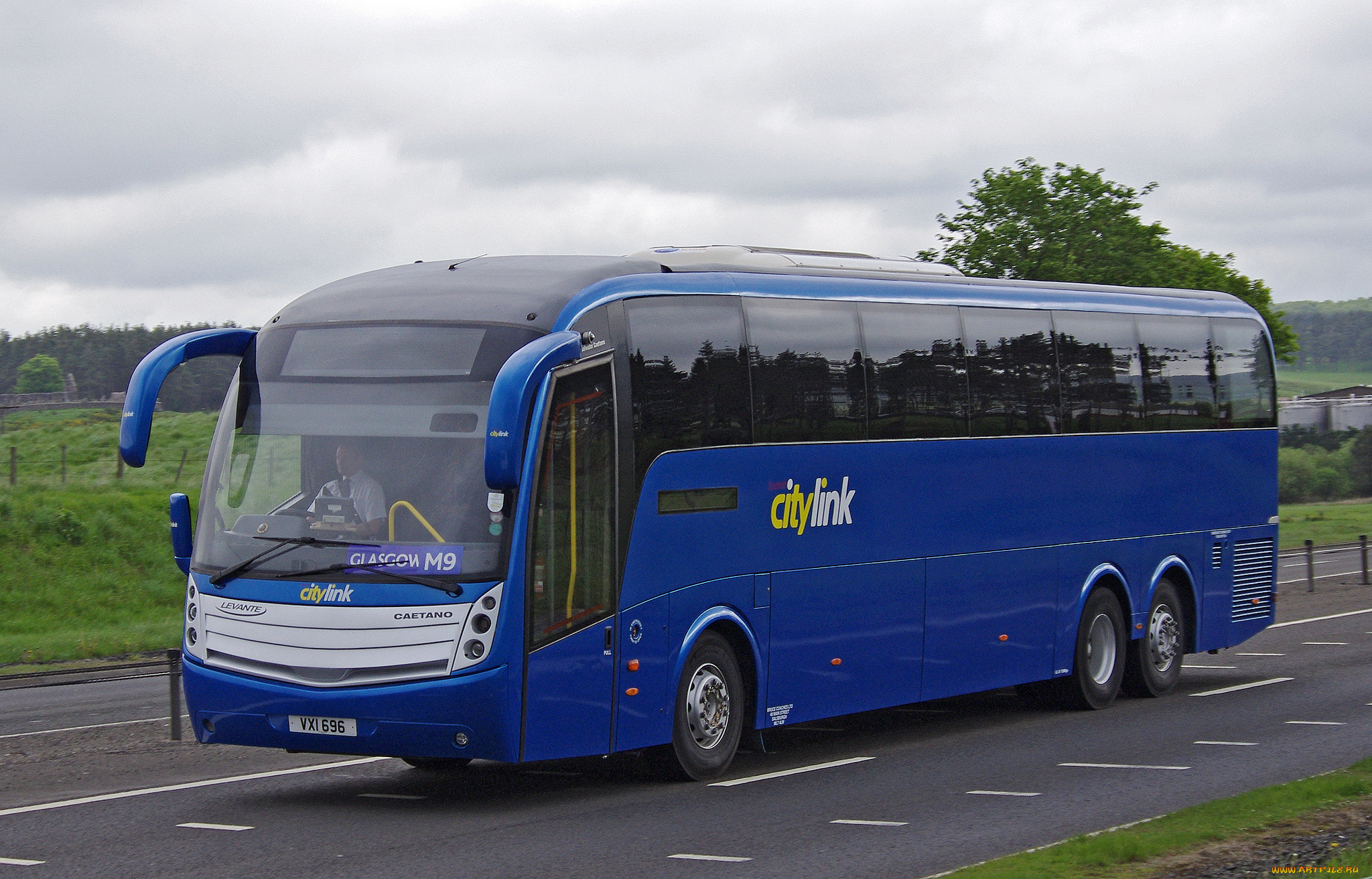 автомобили, автобусы, автобус, туристический