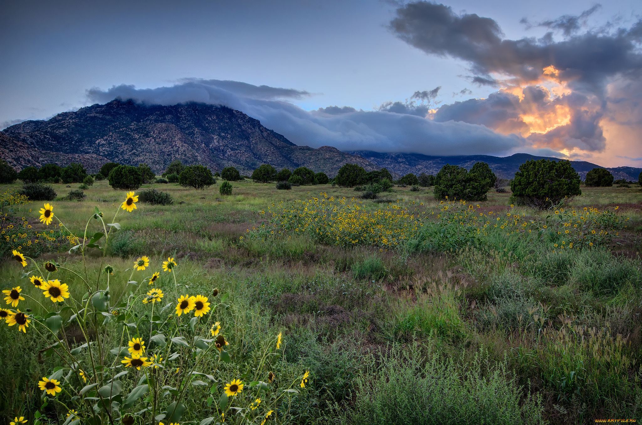 природа, луга, горы, цветы, закат, облака, небо, пейзаж