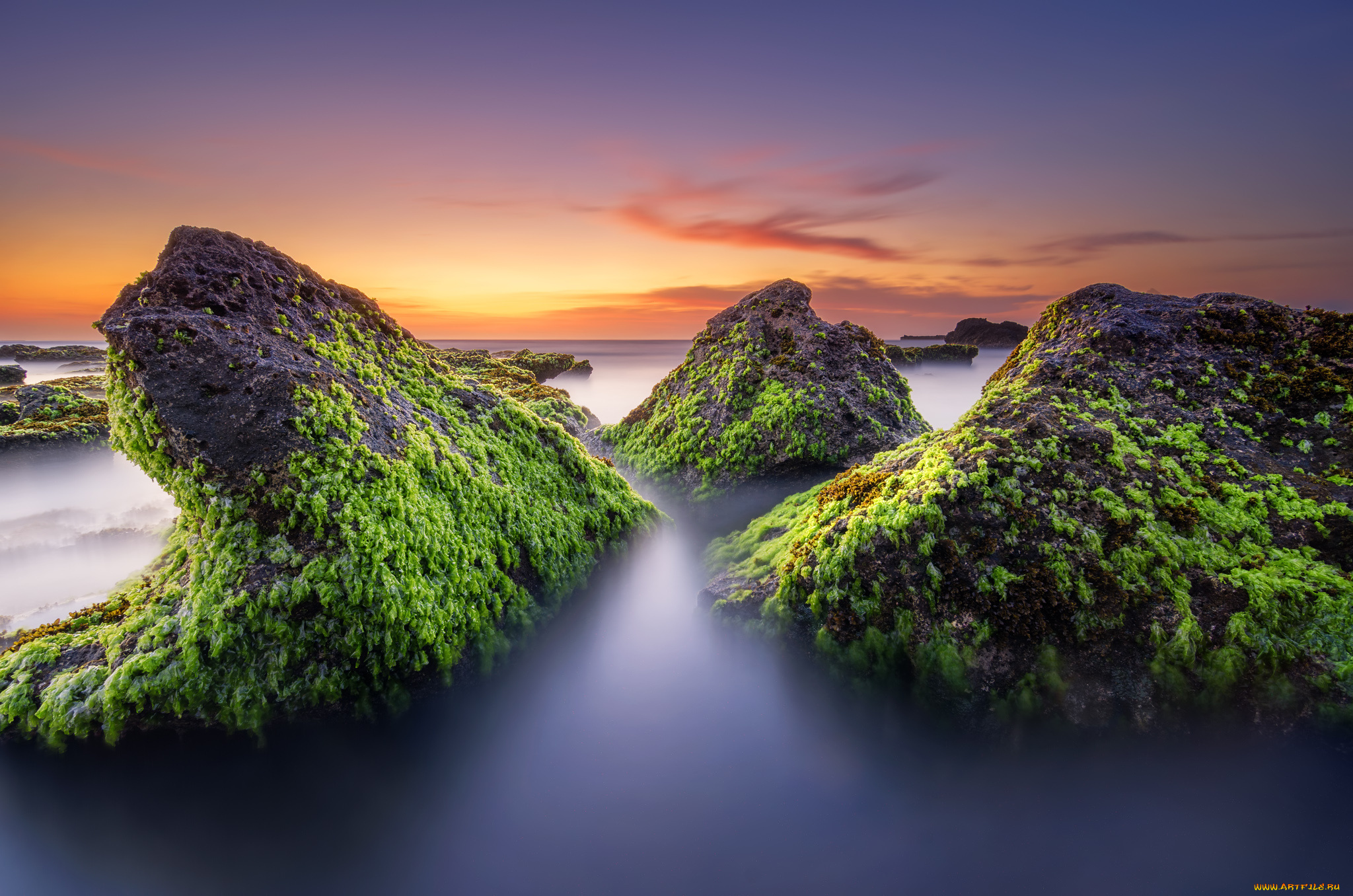 природа, побережье, океан, камни, водоросли, отлив