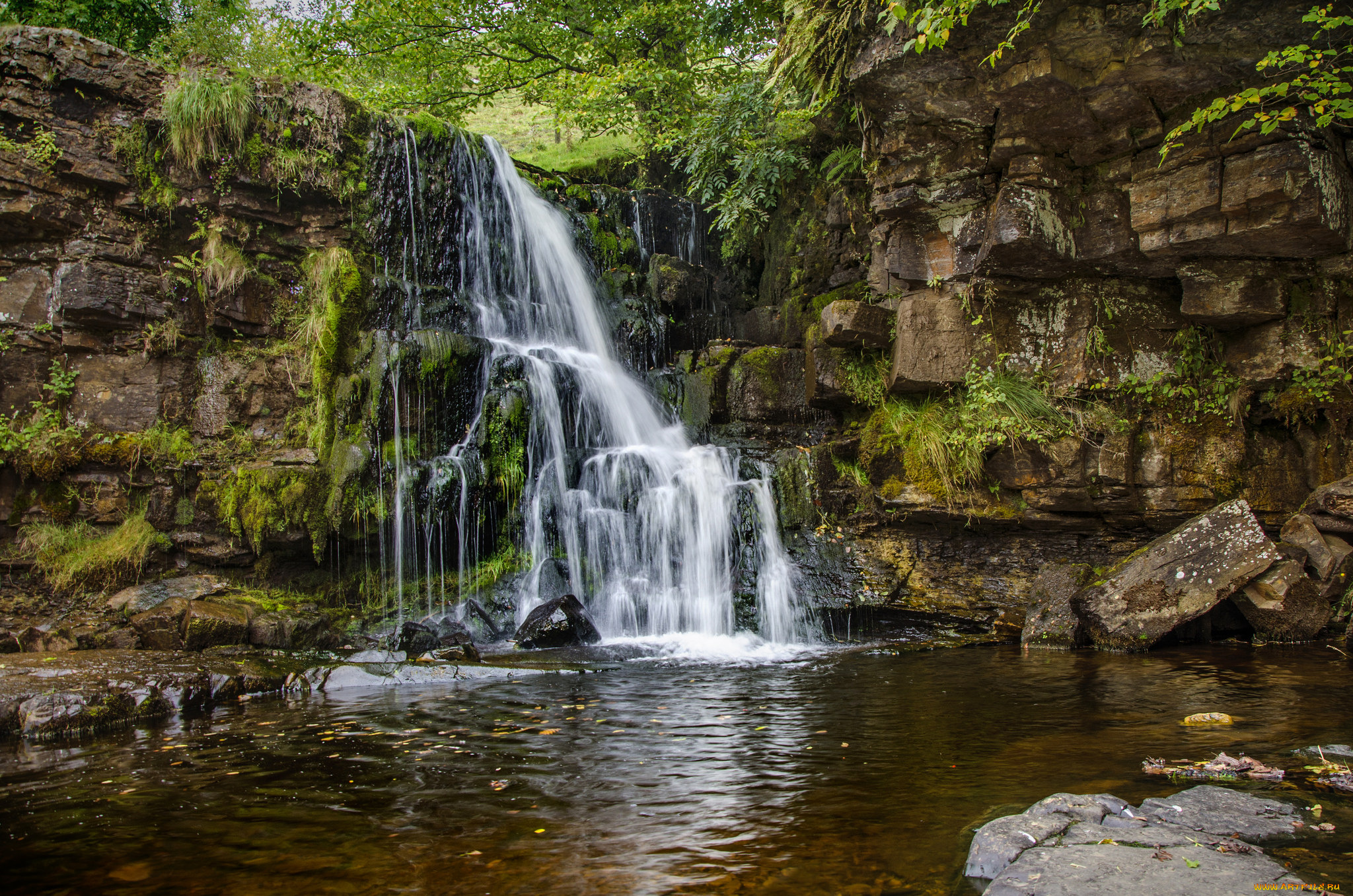 природа, водопады, водопад, река, лес