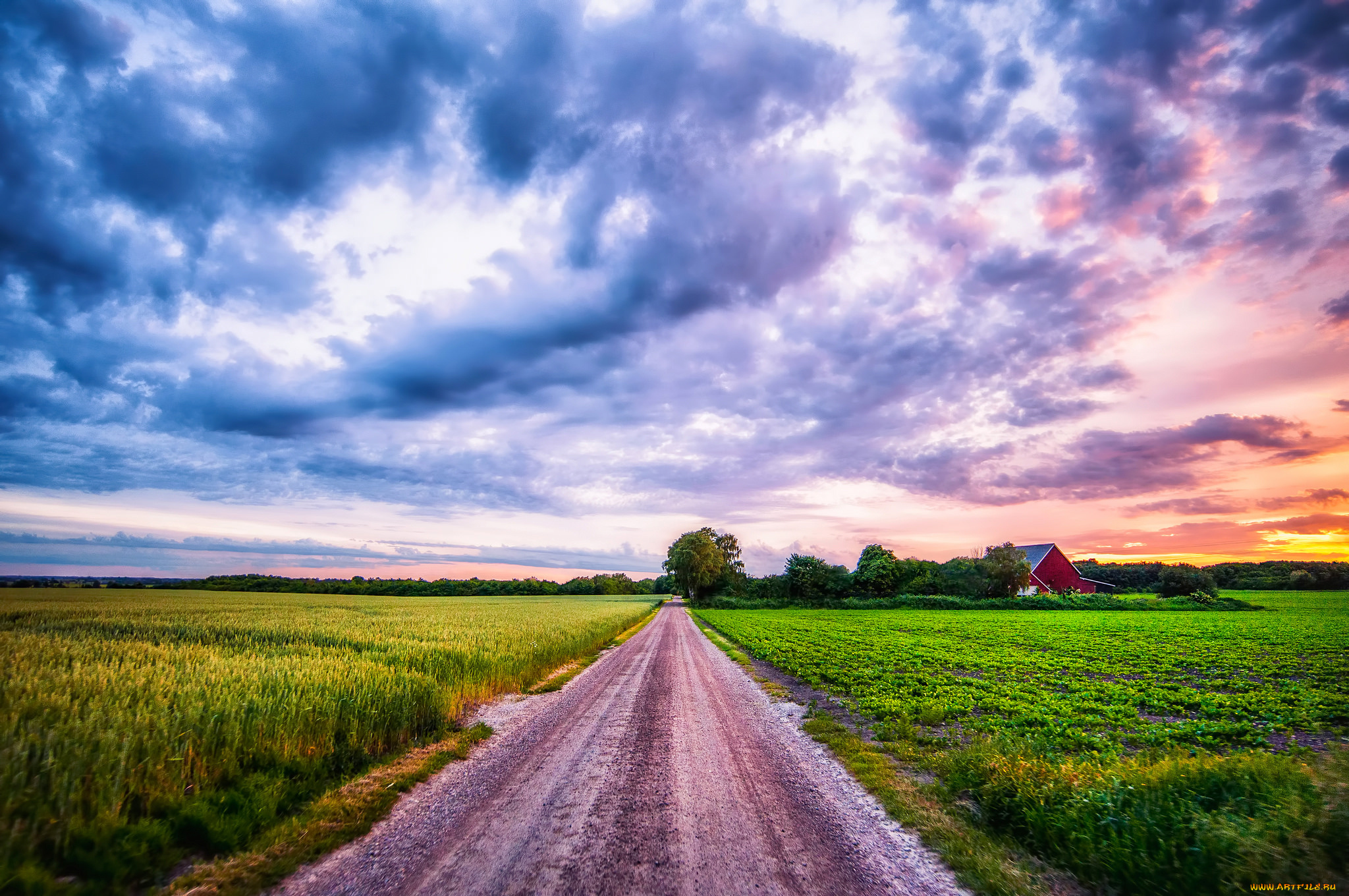 природа, дороги, поле, лето, колосья, пейзаж, деревня, облака, небо, закат, растения, дорога
