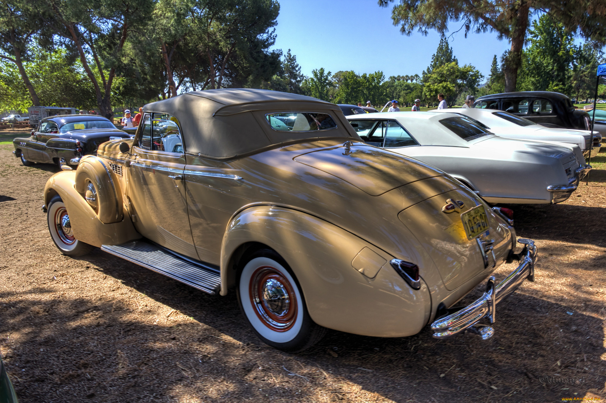 1938, buick, century, автомобили, выставки, и, уличные, фото, автошоу, выставка