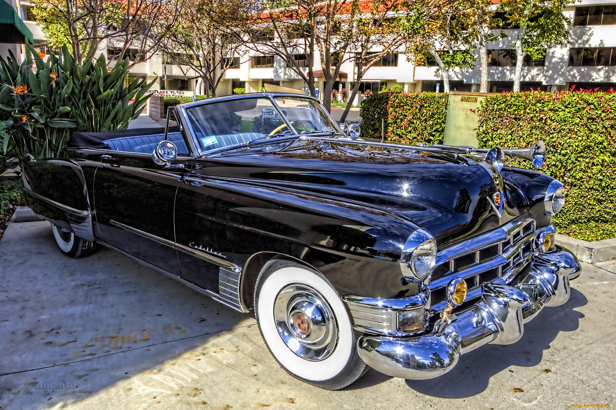 1949, cadillac, convertible, автомобили, выставки, и, уличные, фото, выставка, автошоу
