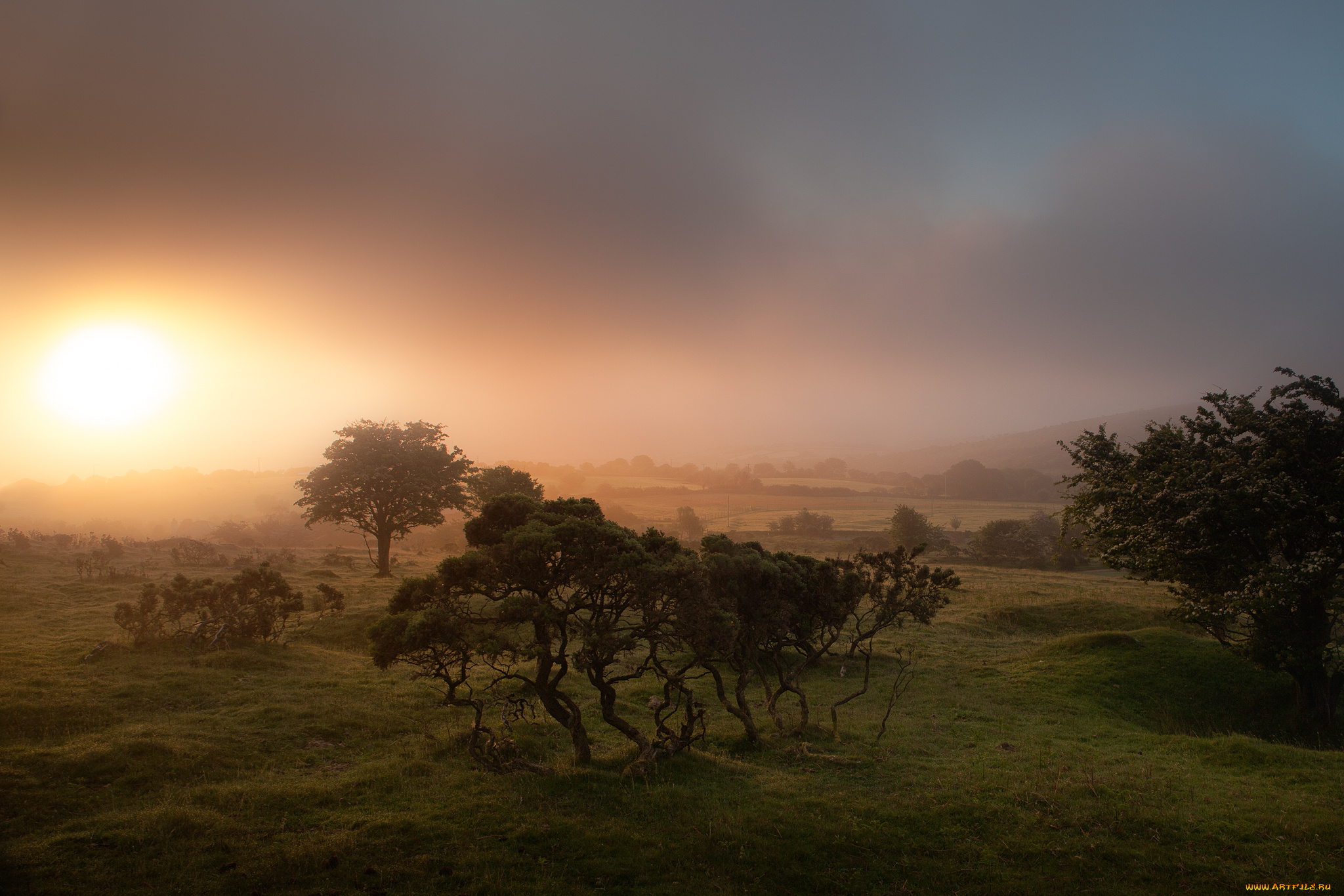 природа, восходы, закаты, англия, корнуолл, восход, туман