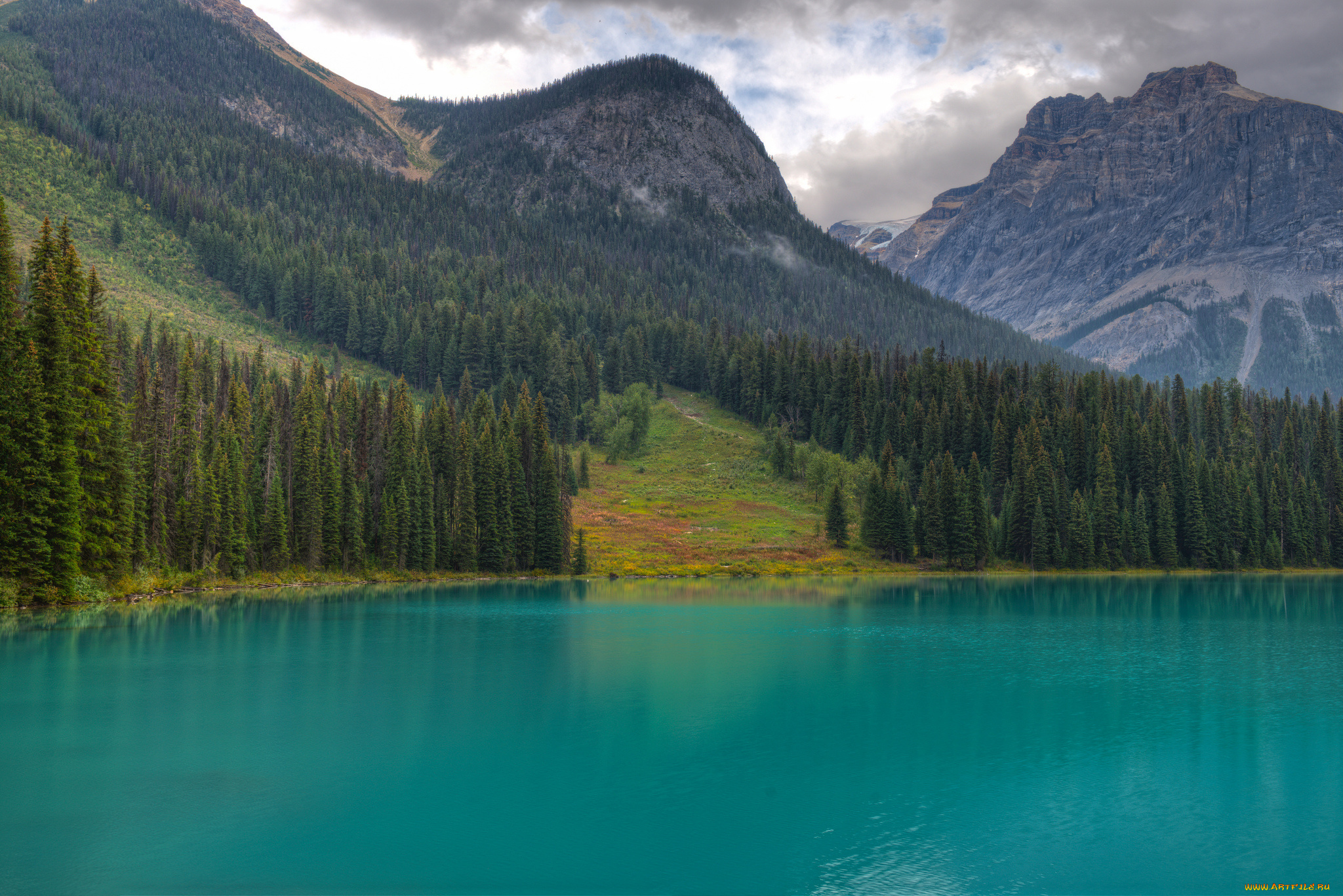 природа, горы, emerald, lake, canada, елки, british, columbia, yoho, national, park, озеро, деревья, лес