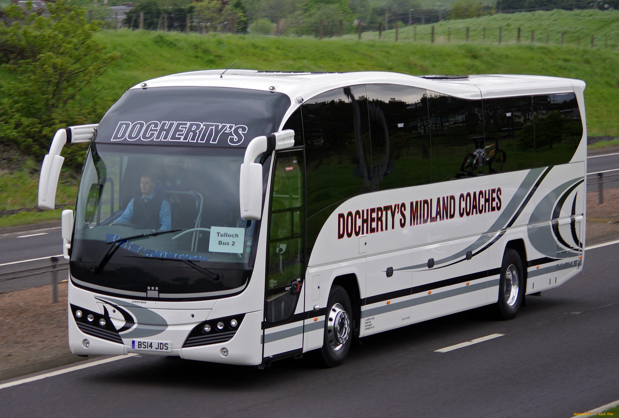 автомобили, автобусы, автобус, туристический