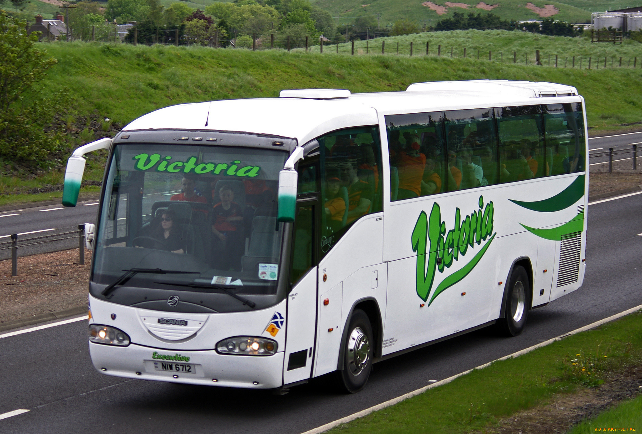 автомобили, автобусы, автобус, туристический