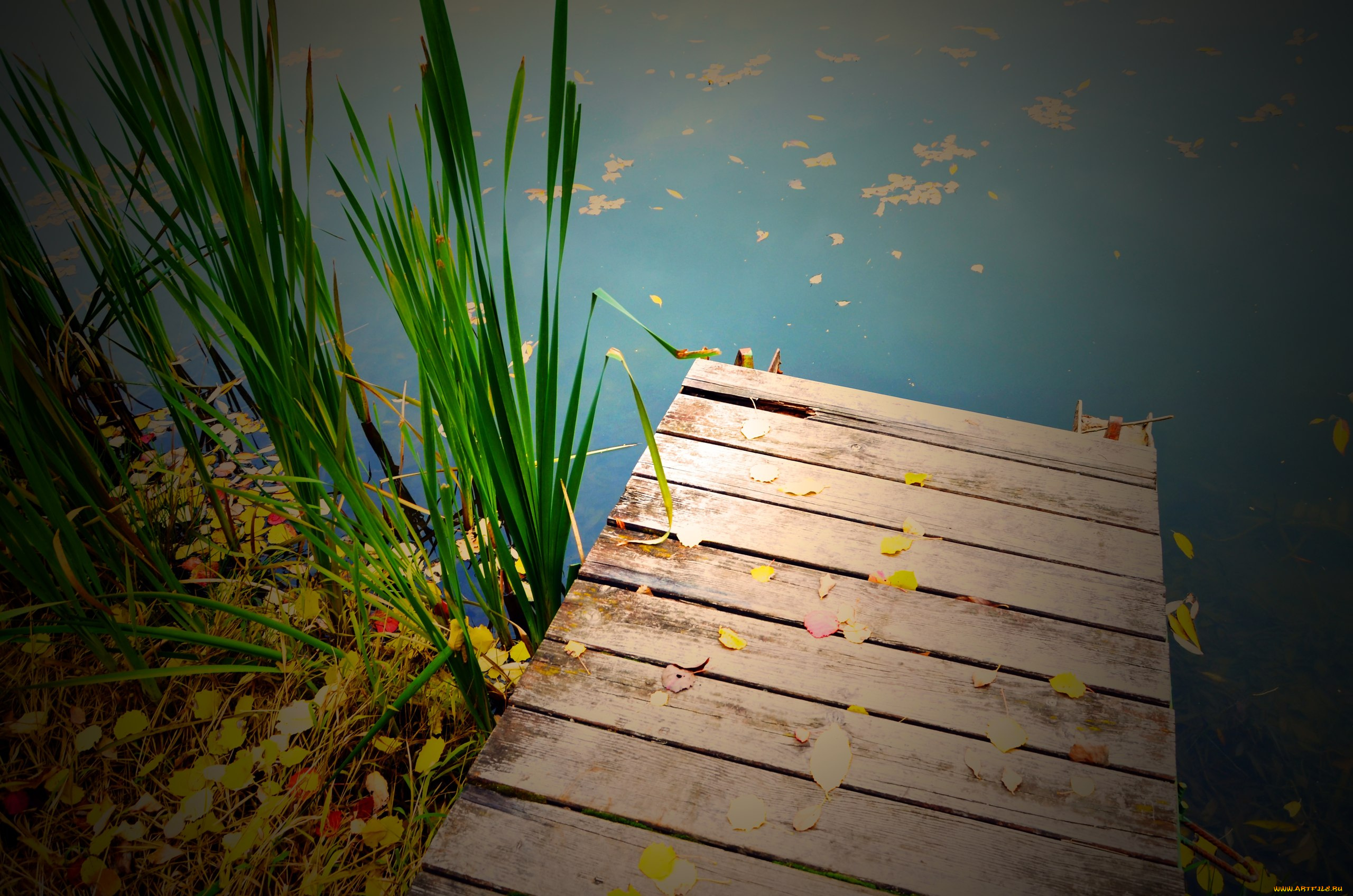 на, мостике, природа, вода, пруд, осень, мостик