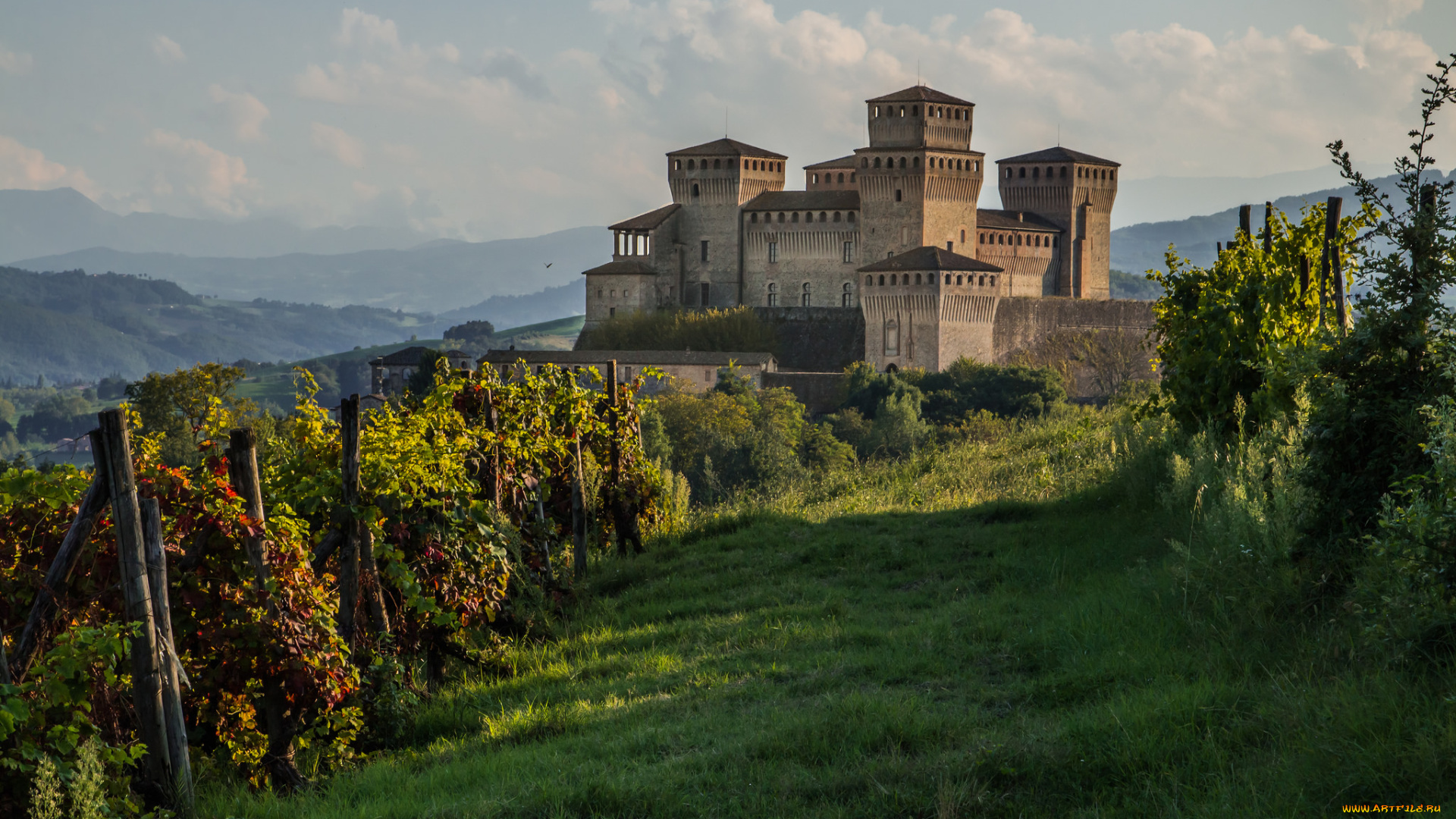 castello, di, torrechiara, города, -, дворцы, , замки, , крепости, виноградник, замок