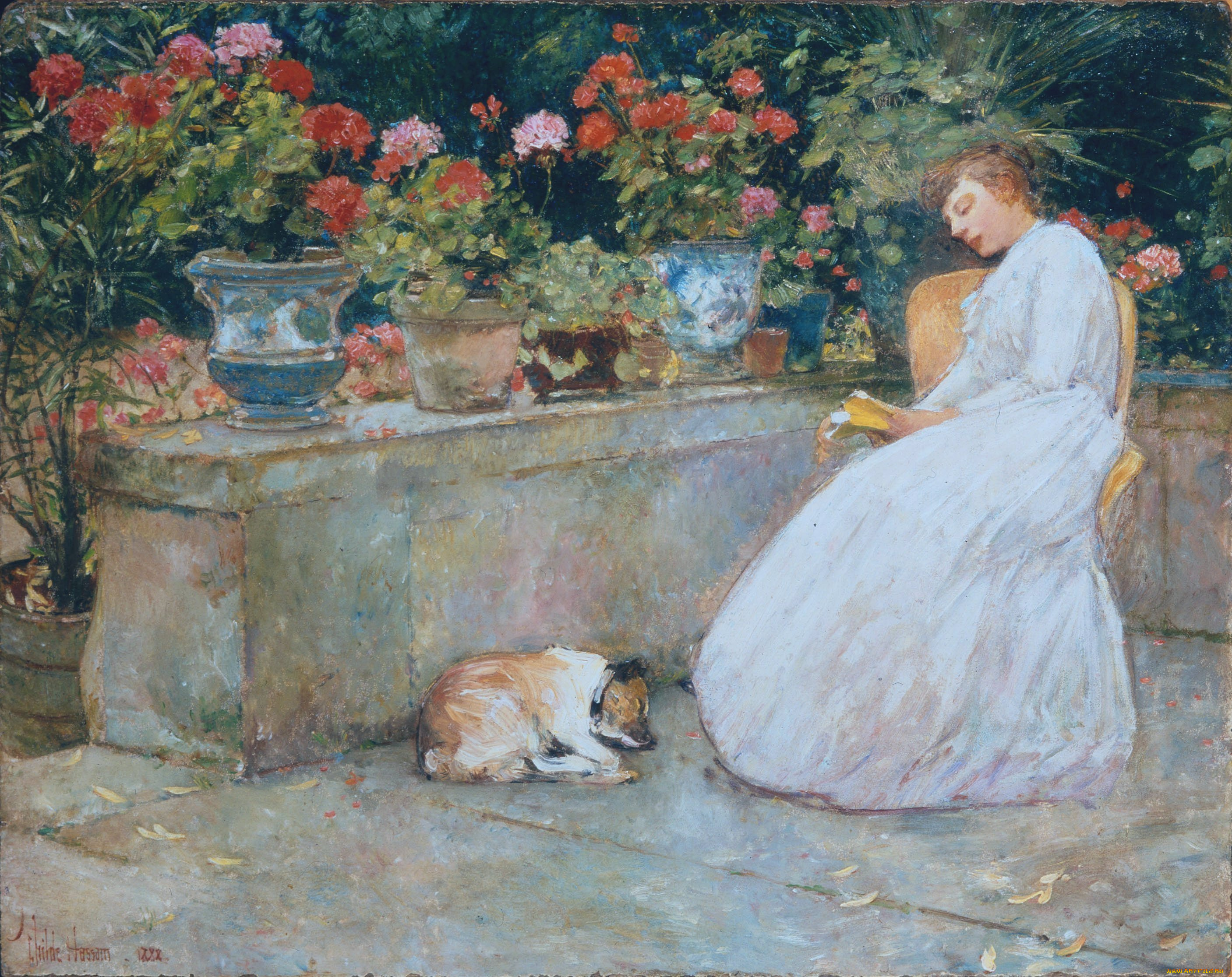 reading, рисованное, frederick, childe, hassam, чтение, книга, дама, собака, терраса, цветы, горшки