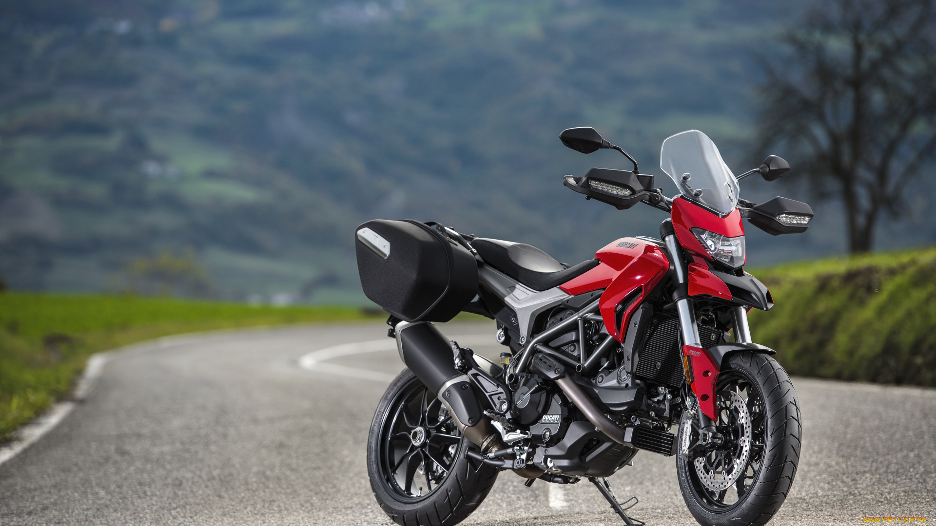 мотоциклы, ducati