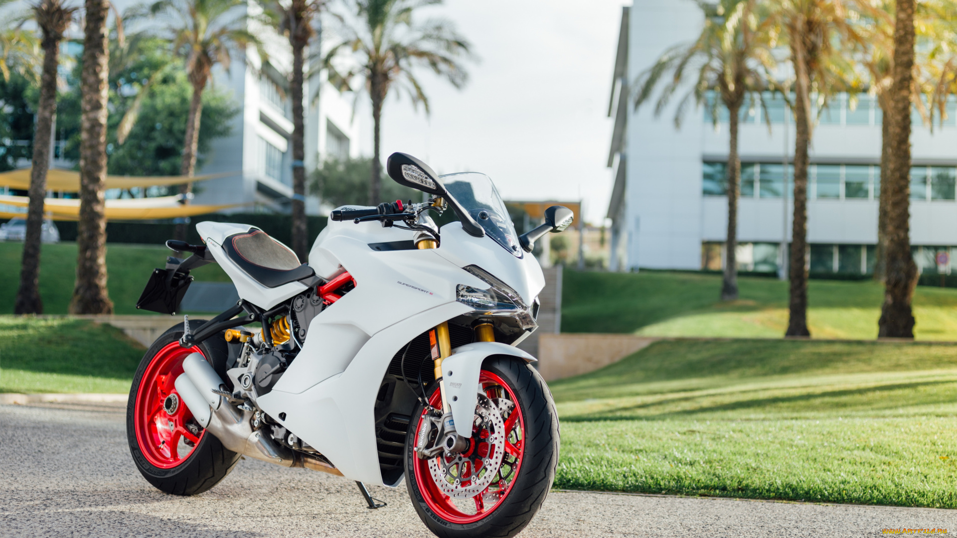 мотоциклы, ducati