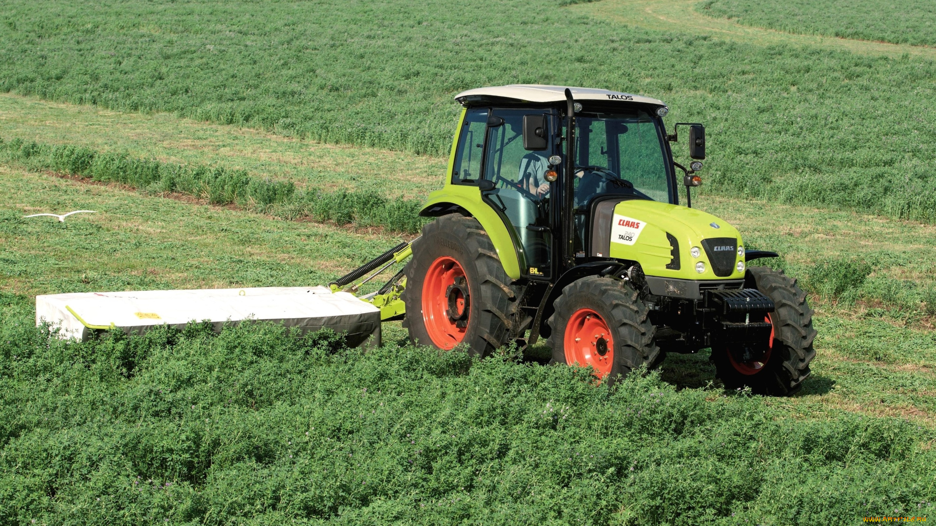 техника, тракторы, claas, talos