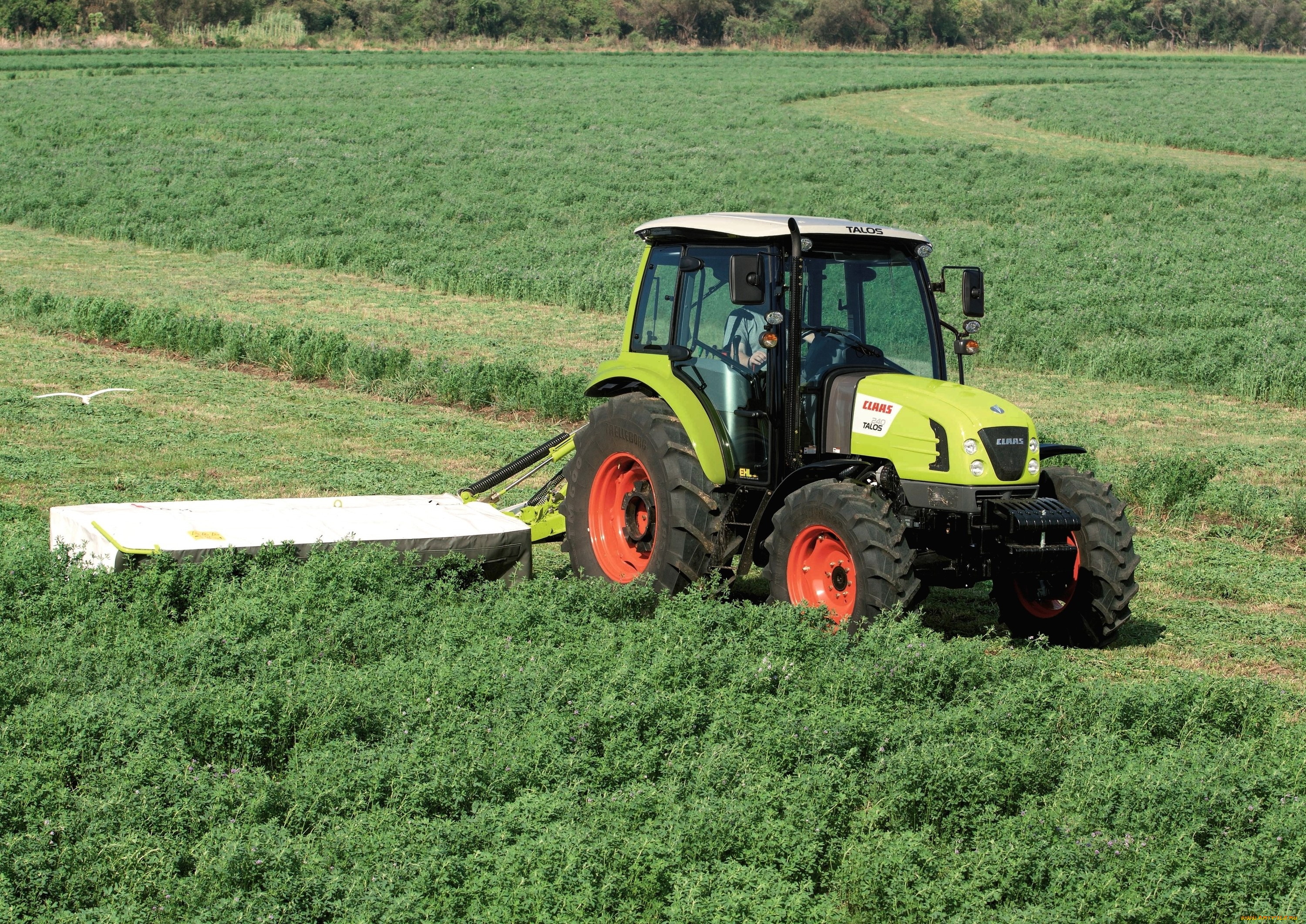 техника, тракторы, claas, talos