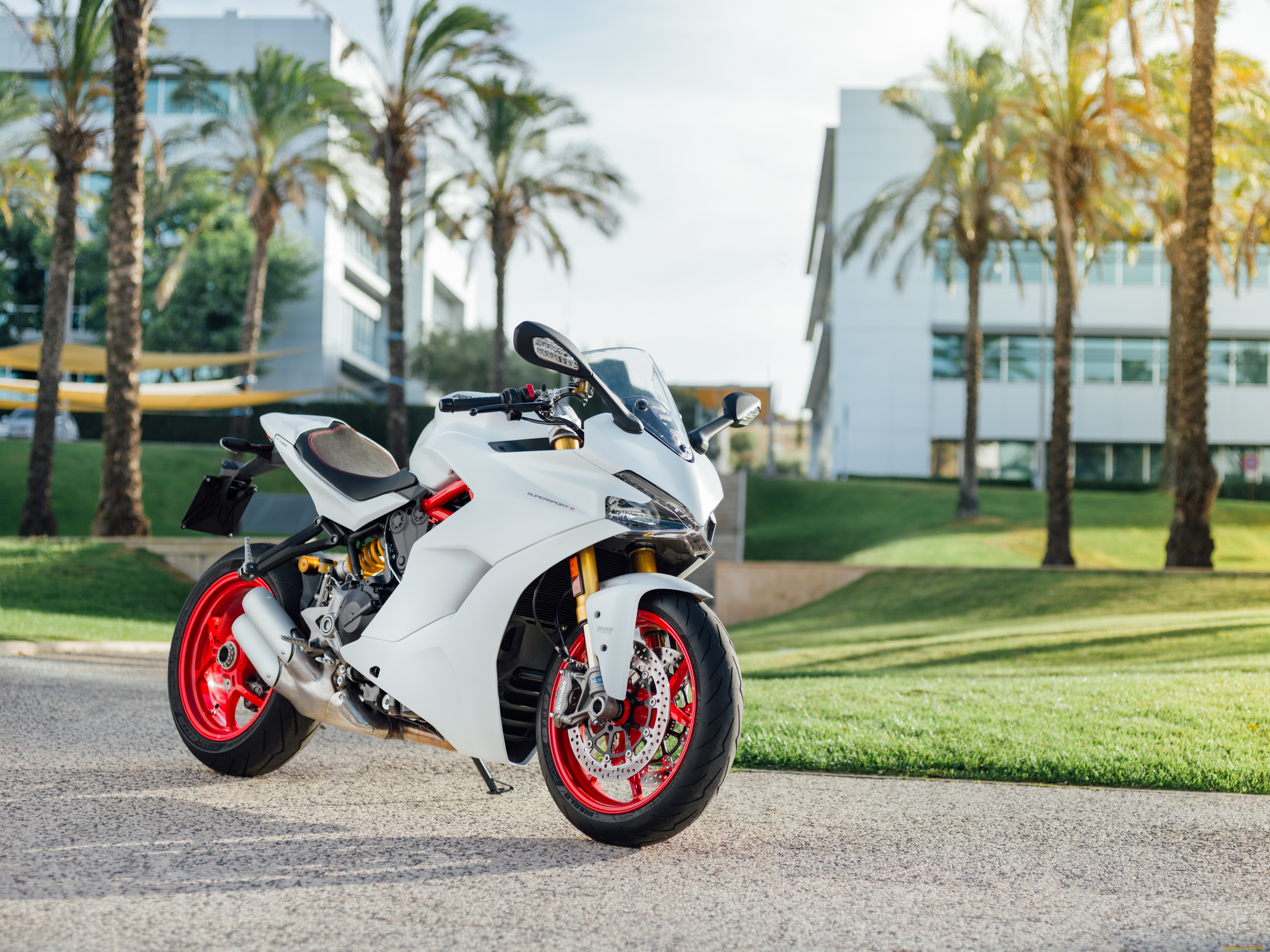 мотоциклы, ducati