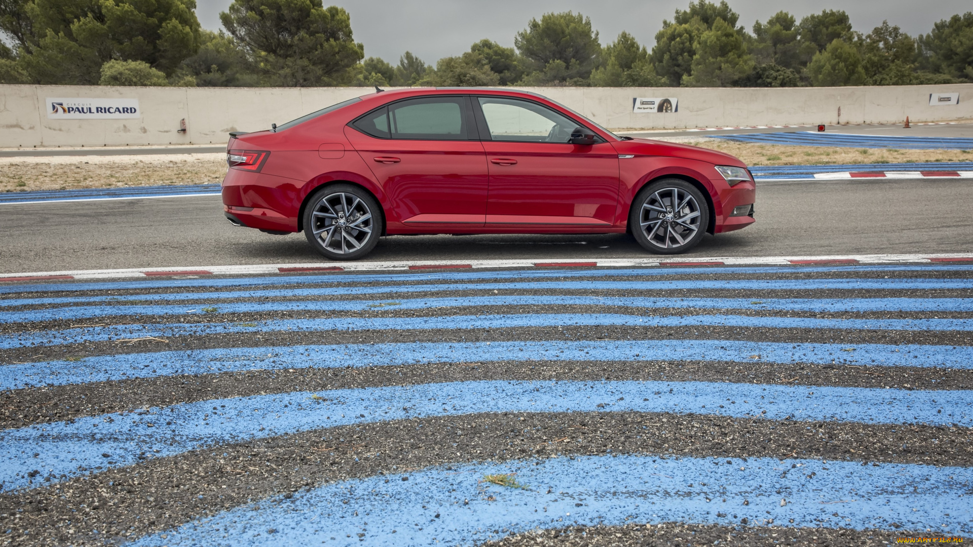 автомобили, skoda