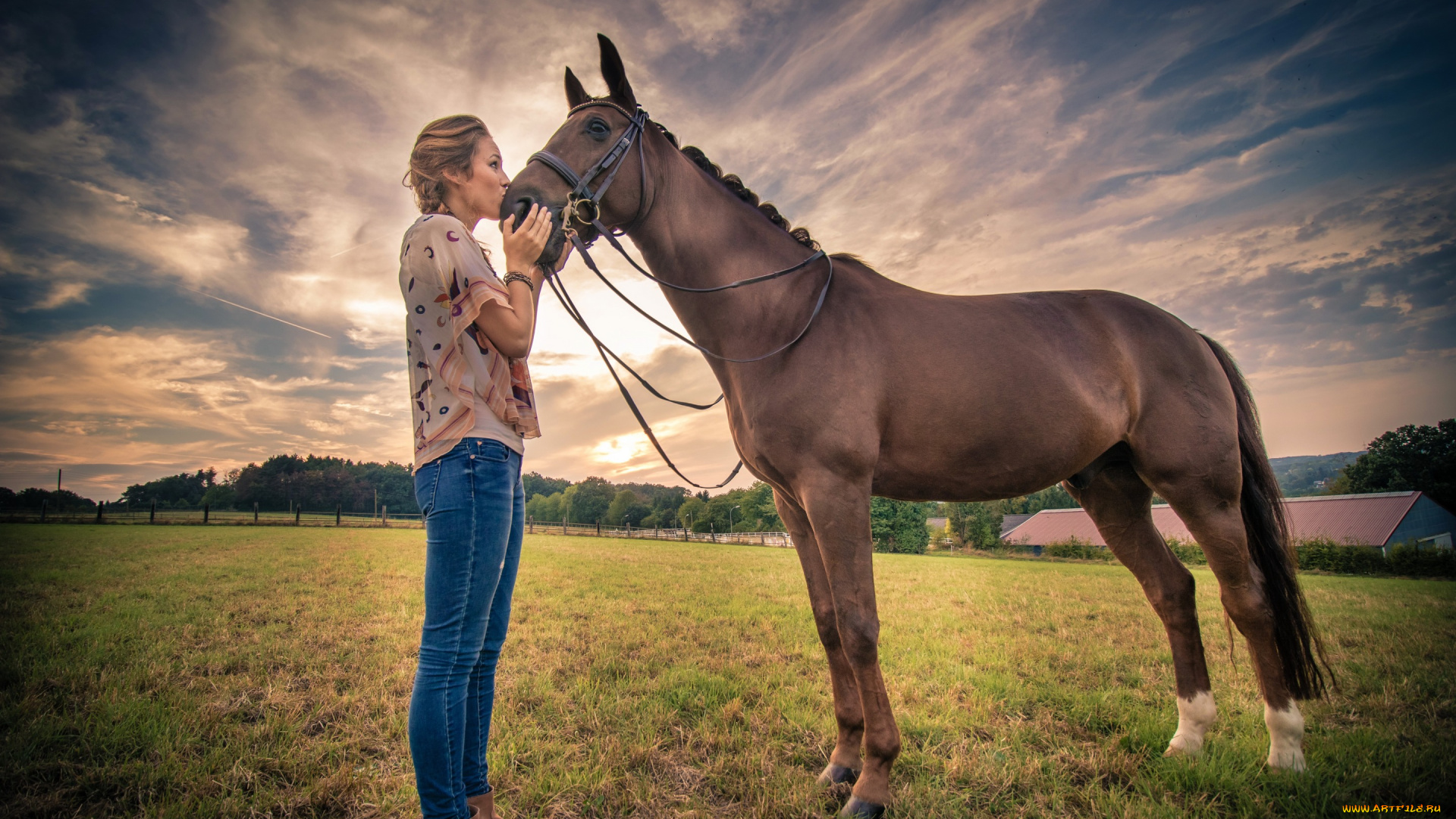 девушки, -unsort, , блондинки, , светловолосые, поле, девушка, конь