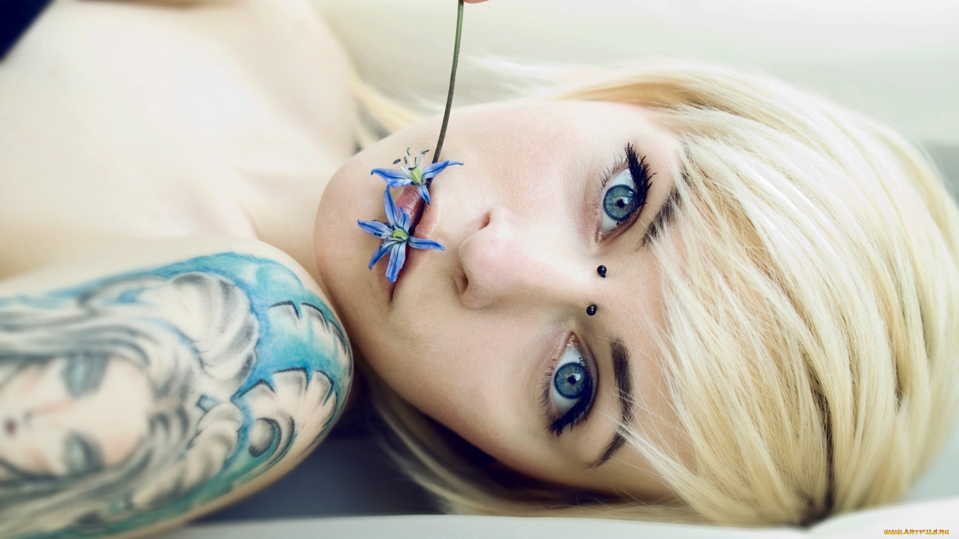 девушки, -unsort, , лица, , портреты, цветок, блондинка, лицо, пирсинг, тату