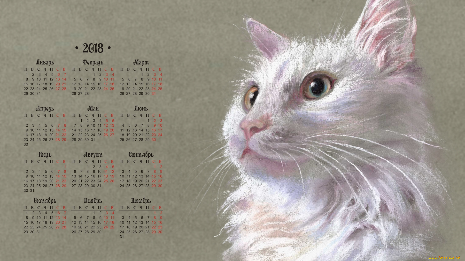 календари, рисованные, , векторная, графика, кошка, морда