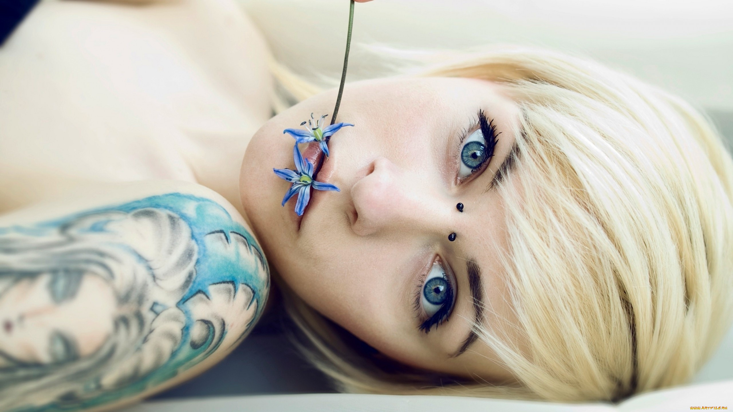 девушки, -unsort, , лица, , портреты, цветок, блондинка, лицо, пирсинг, тату