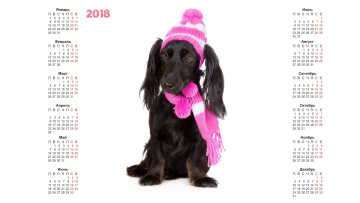 Картинка календари животные белый фон собака