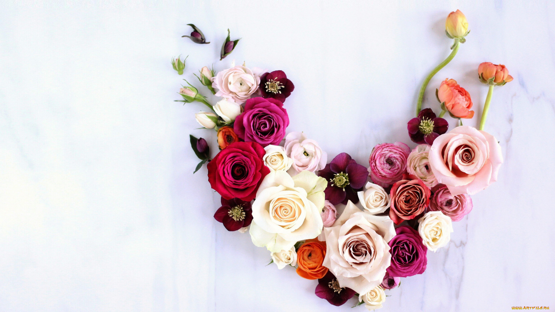 цветы, разные, вместе, ранункулюс, анемоны, розы