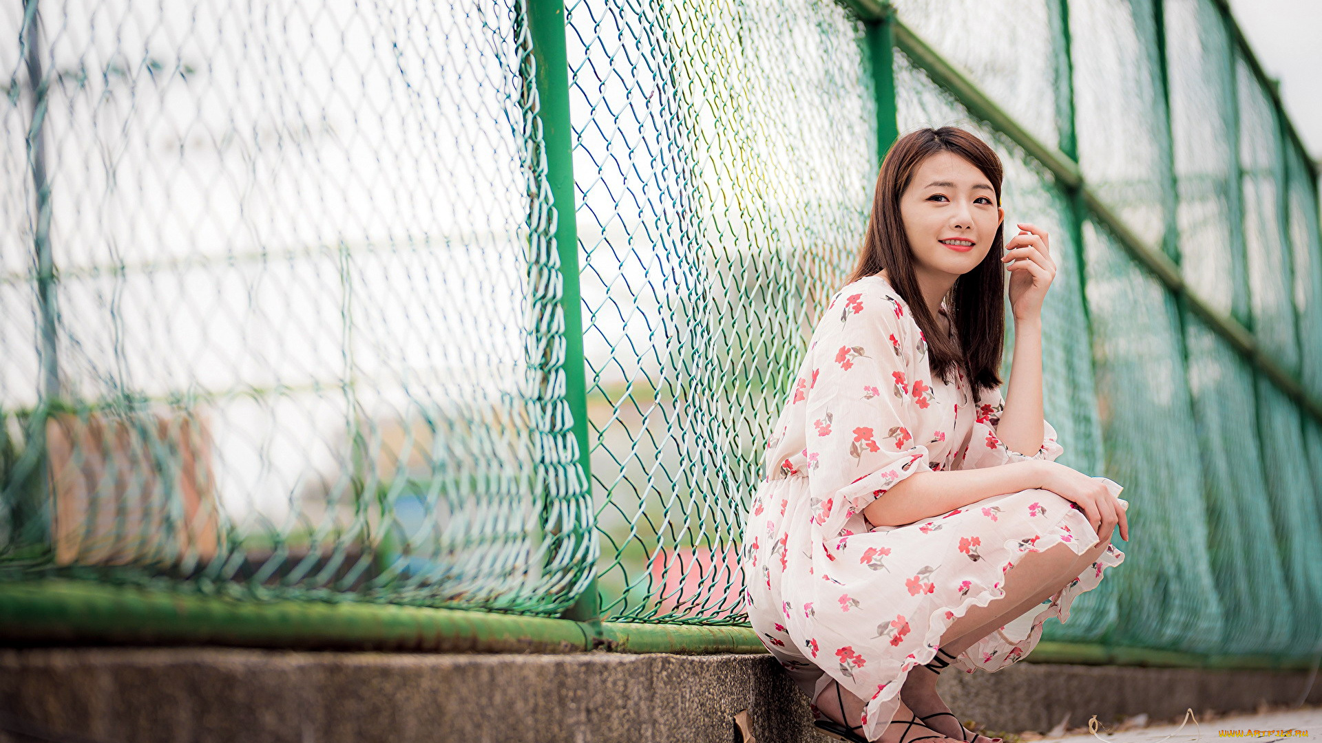 девушки, -, азиатки, платье, поза