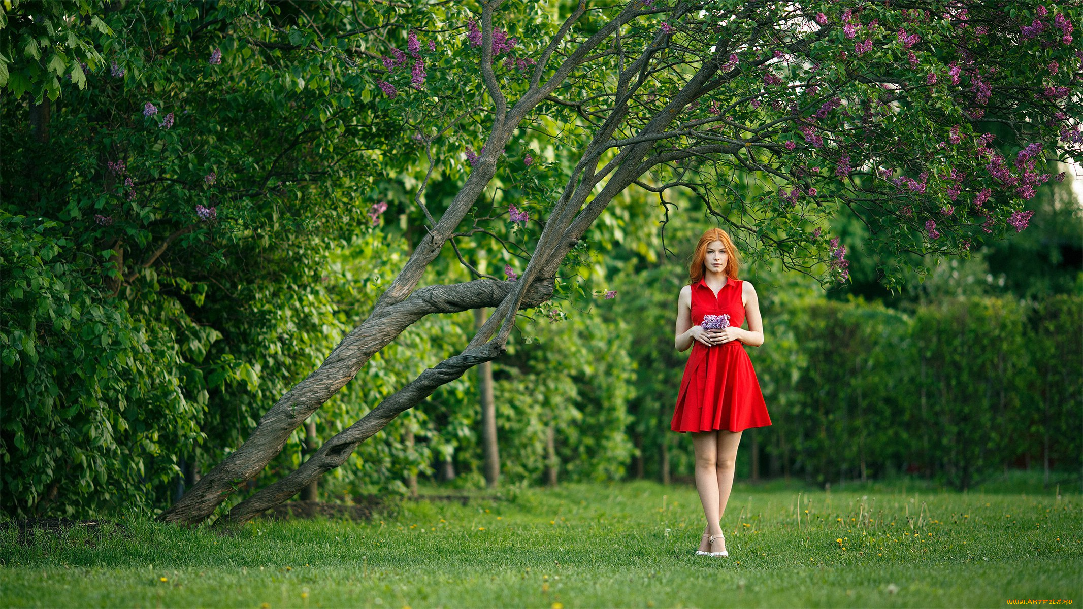 девушки, анастасия, жилина, анастасия, жилина