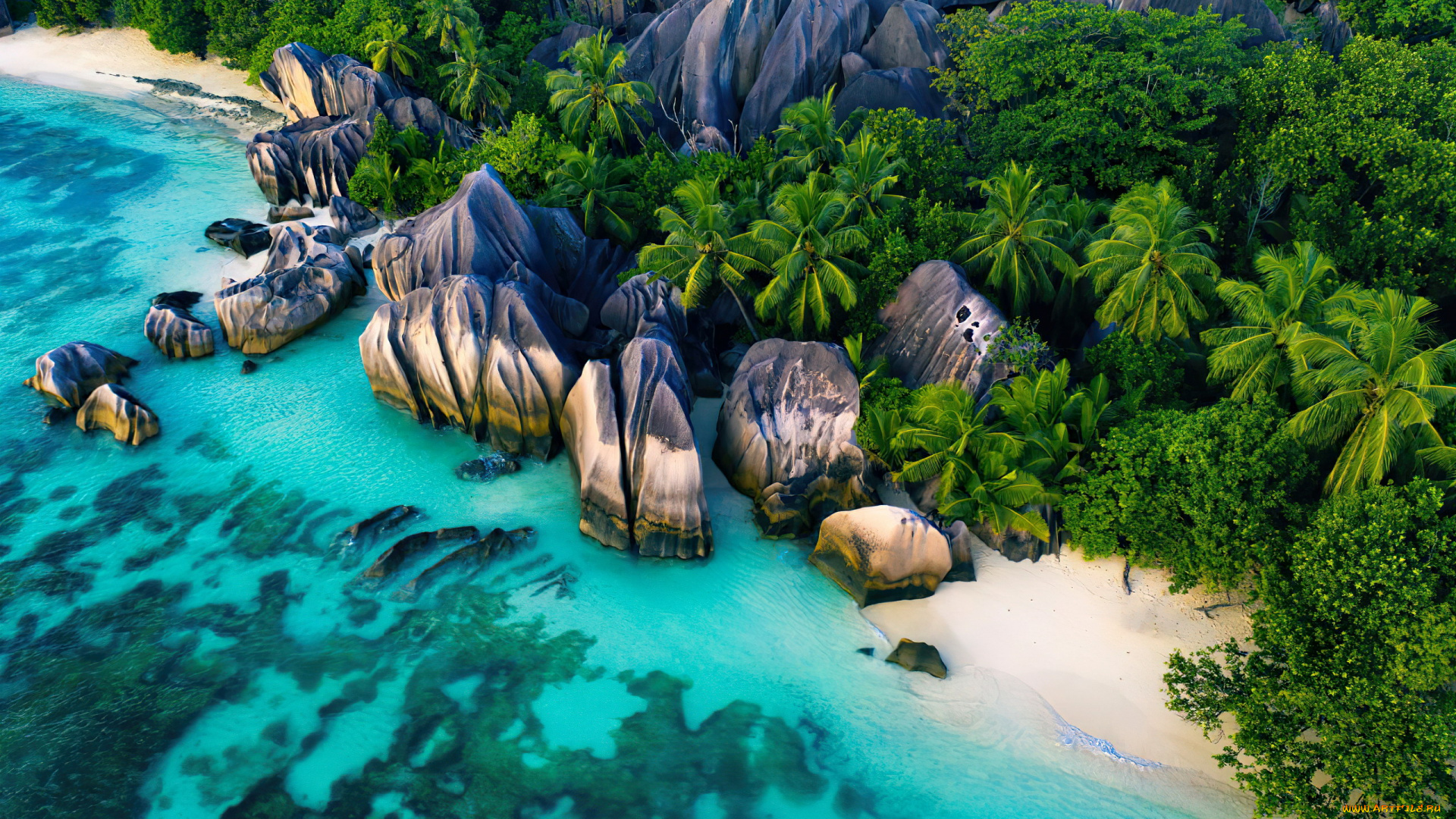 seychelles, природа, побережье