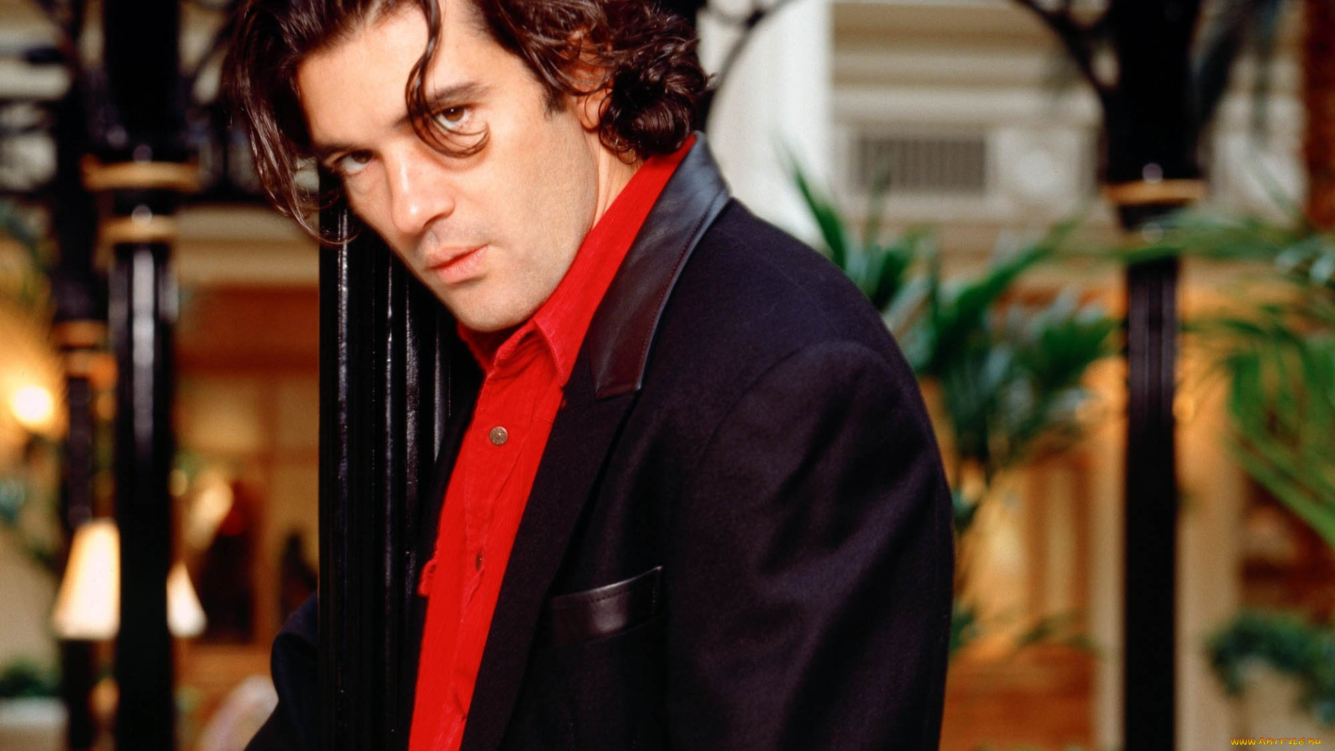 мужчины, antonio, banderas, актер, пиджак, ограда