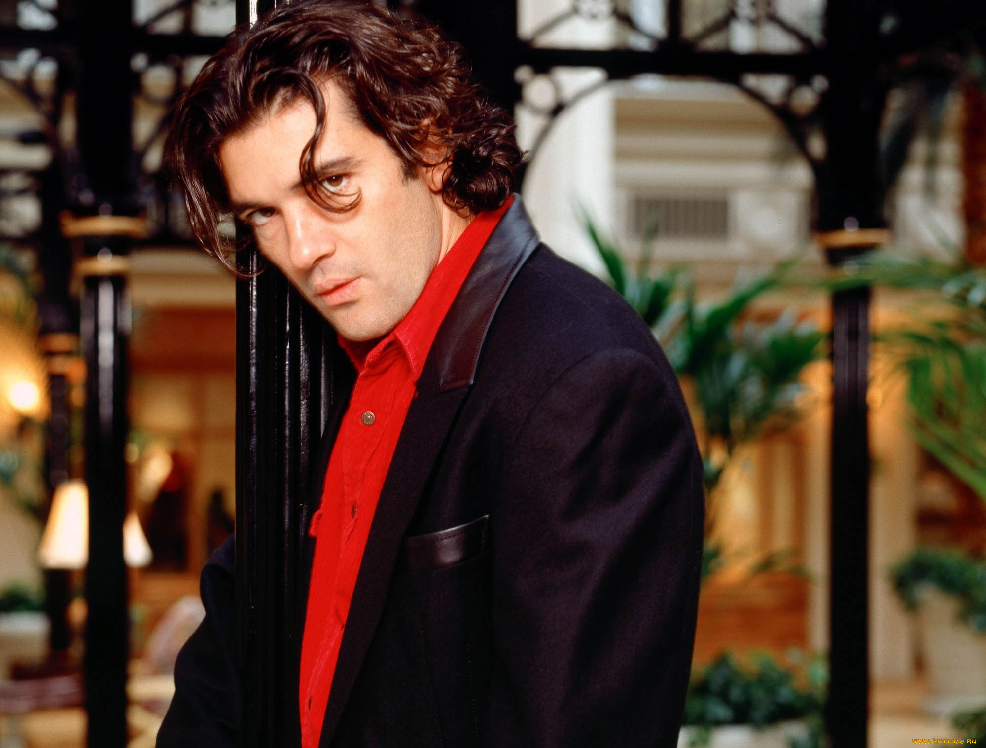 мужчины, antonio, banderas, актер, пиджак, ограда