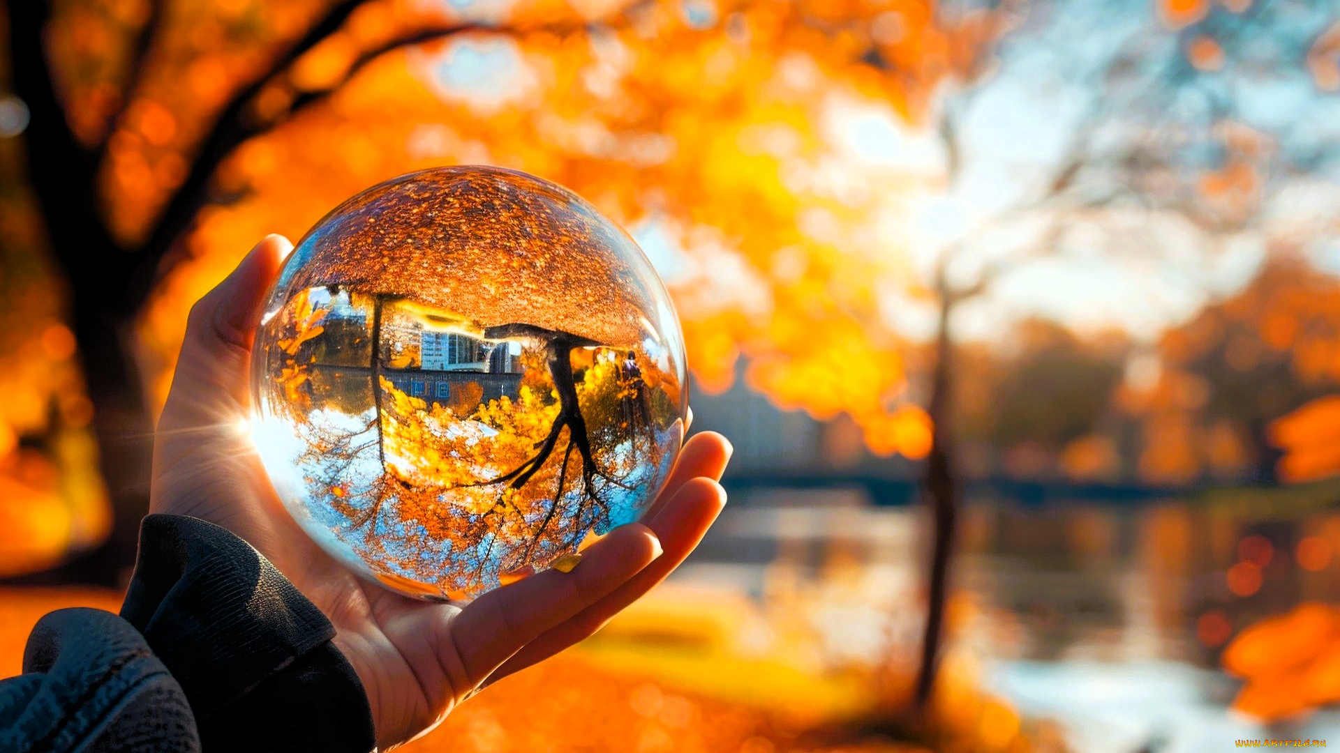 3д, графика, природа, , nature, рука, хрустальный, шар, природа, осень, отражение