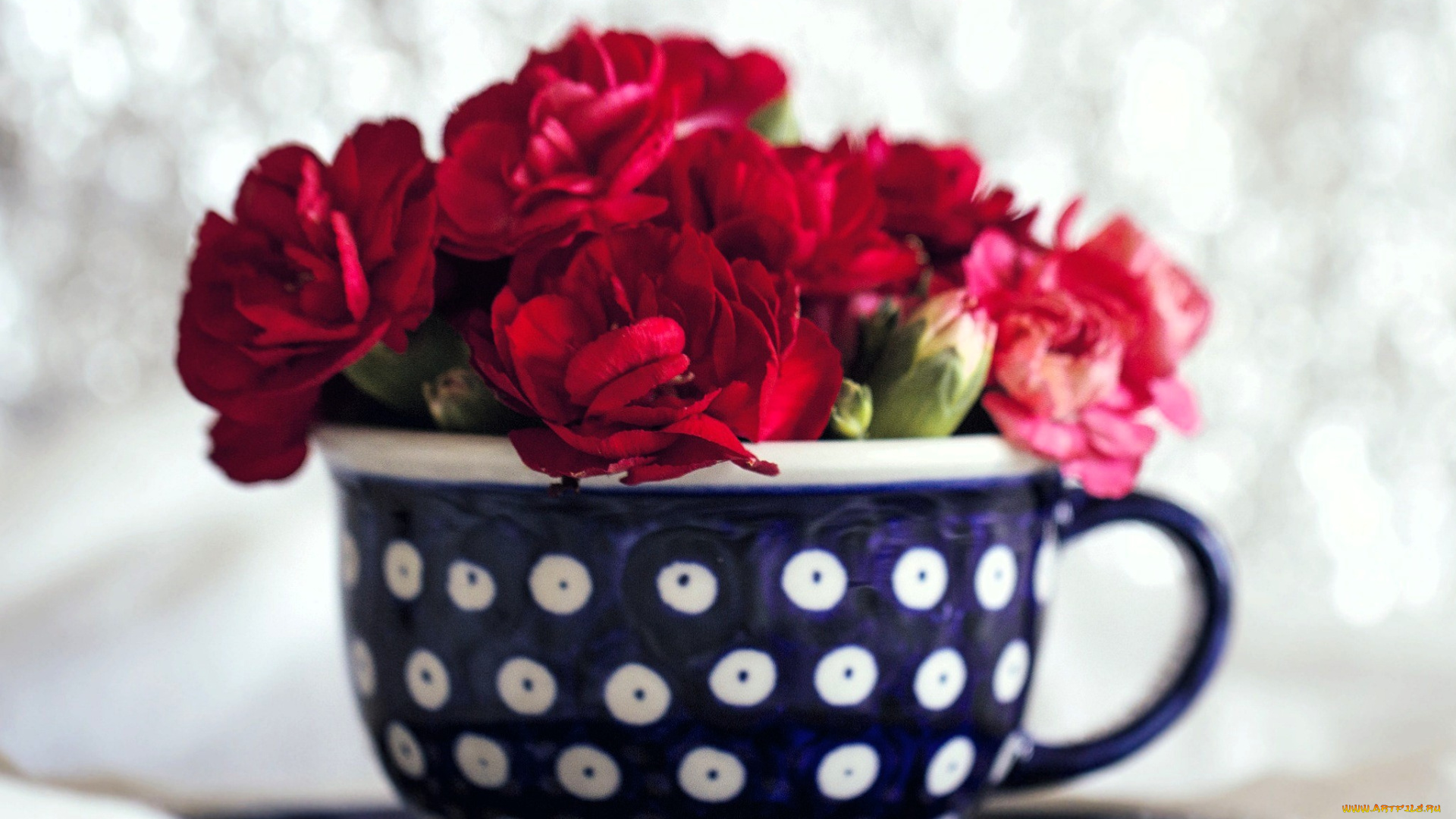 цветы, гвоздики, чашка, букет