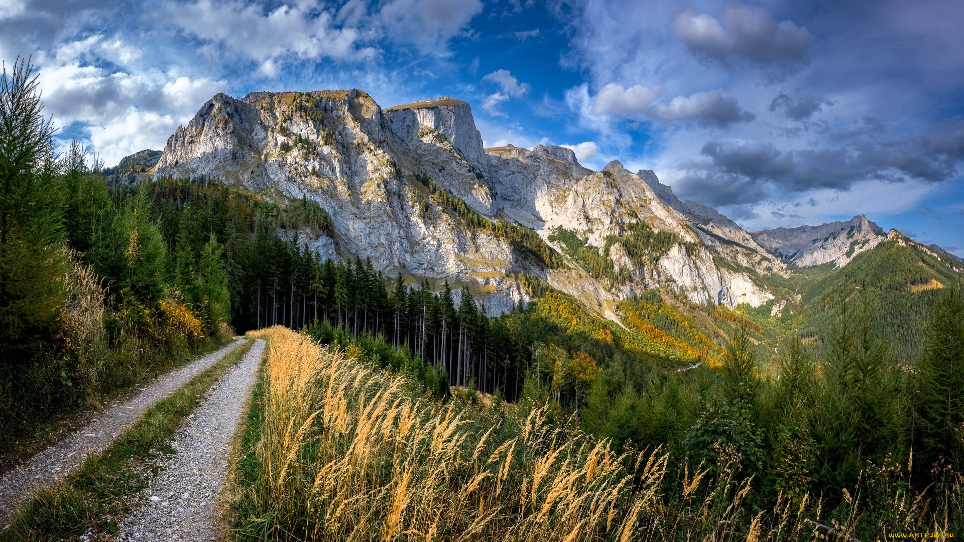 природа, горы, дорога, лес, осень, трава