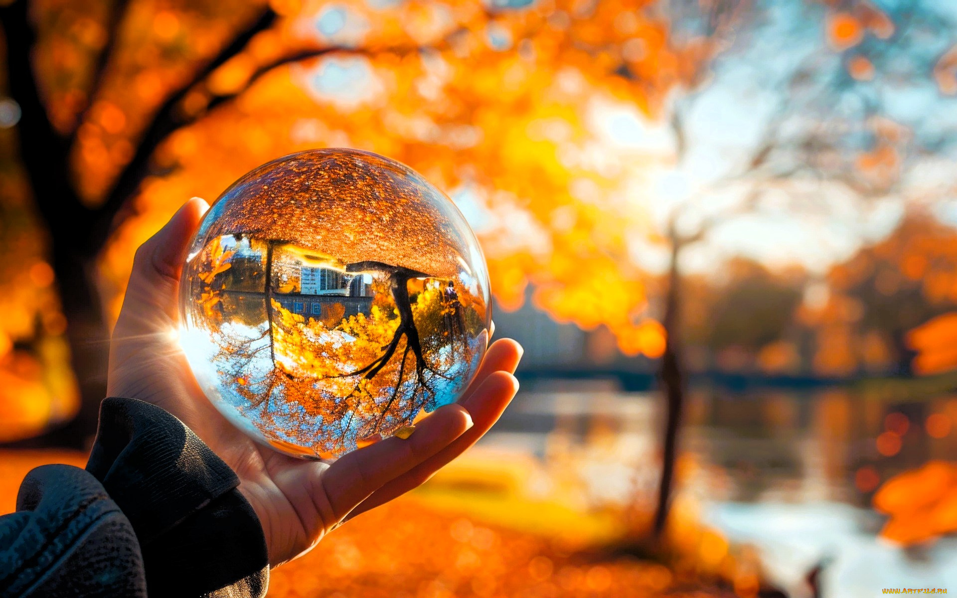 3д, графика, природа, , nature, рука, хрустальный, шар, природа, осень, отражение