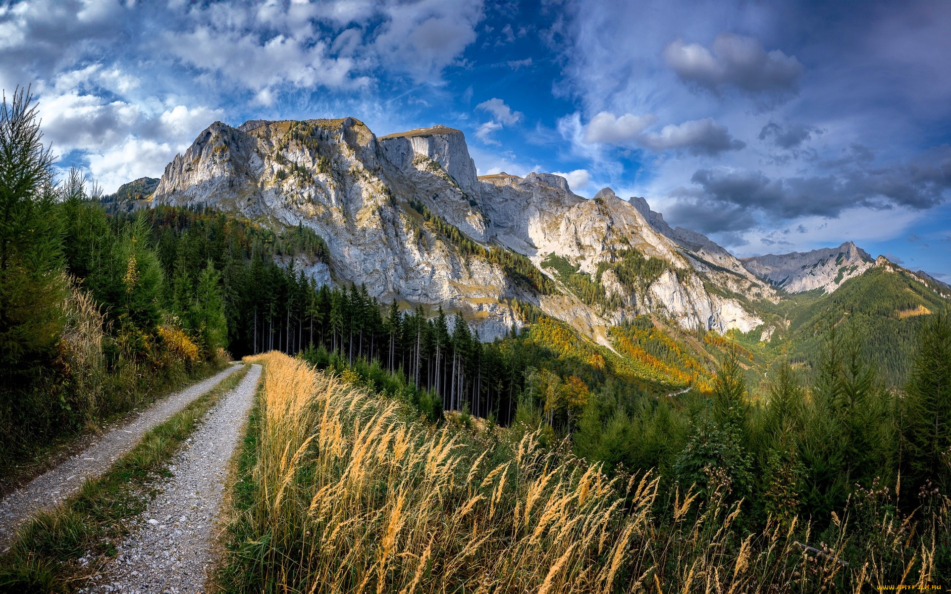 природа, горы, дорога, лес, осень, трава